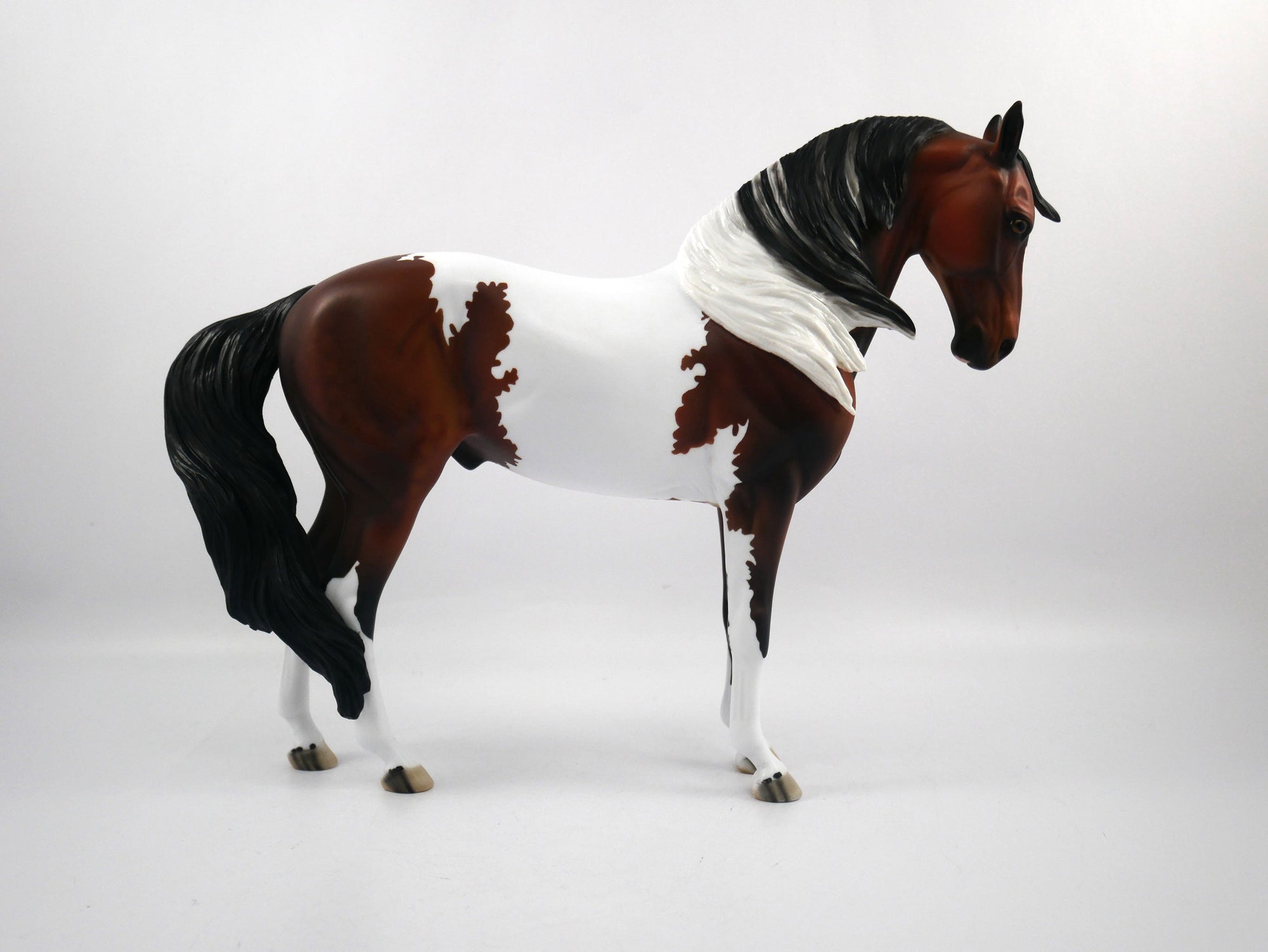 Defeat-OOAK Bay Paint Andalusian SB 21