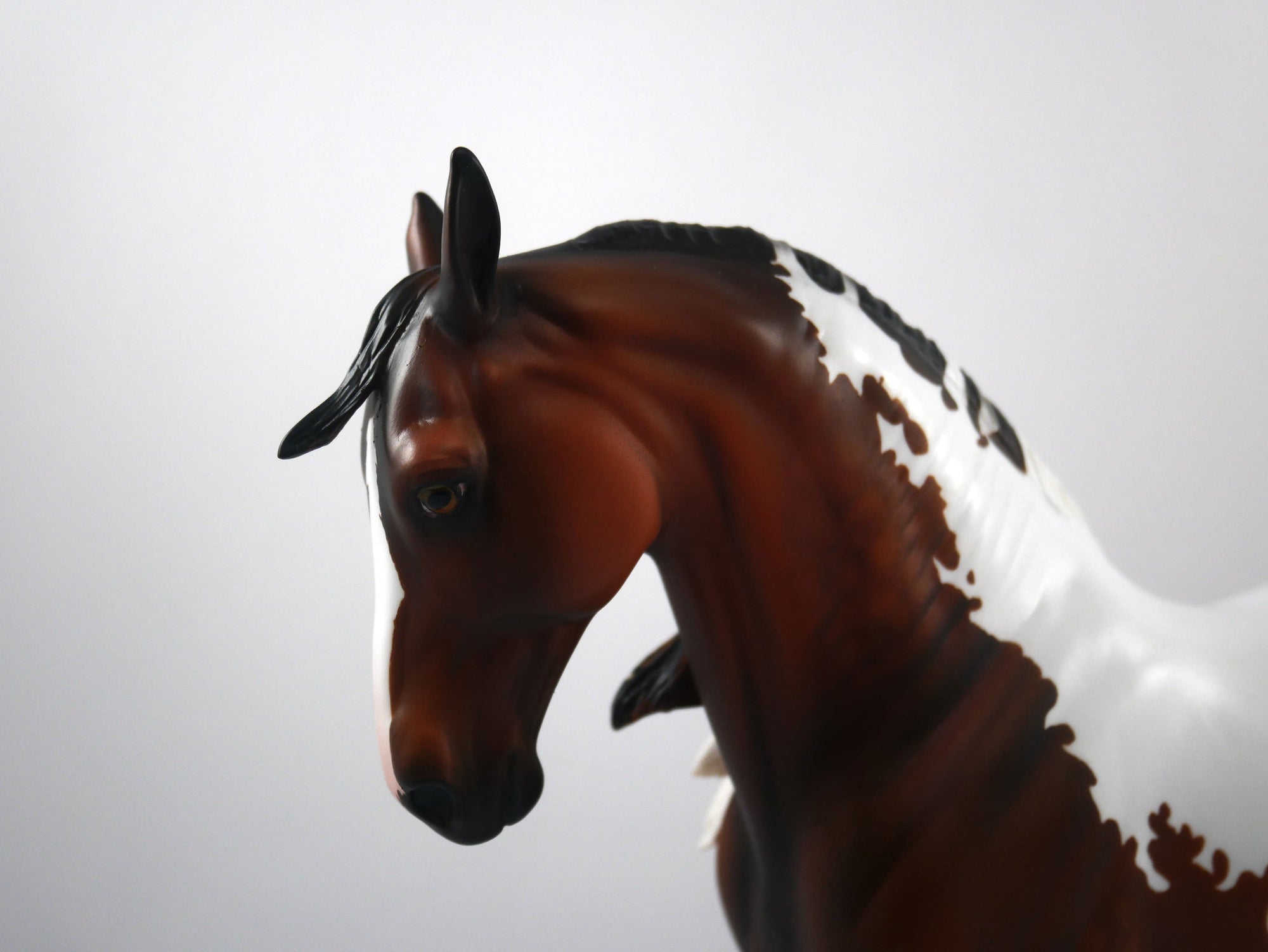 Defeat-OOAK Bay Paint Andalusian SB 21