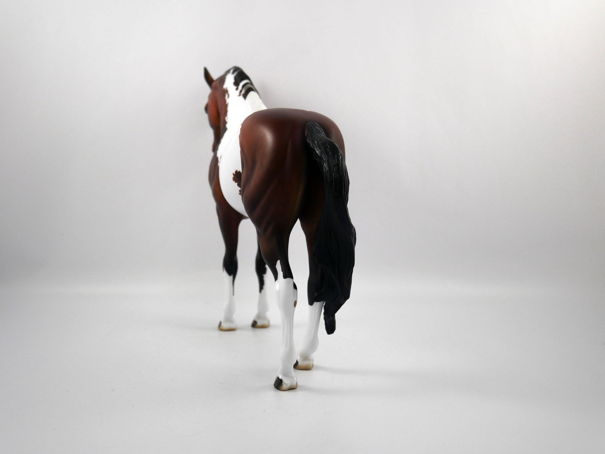 Defeat-OOAK Bay Paint Andalusian SB 21