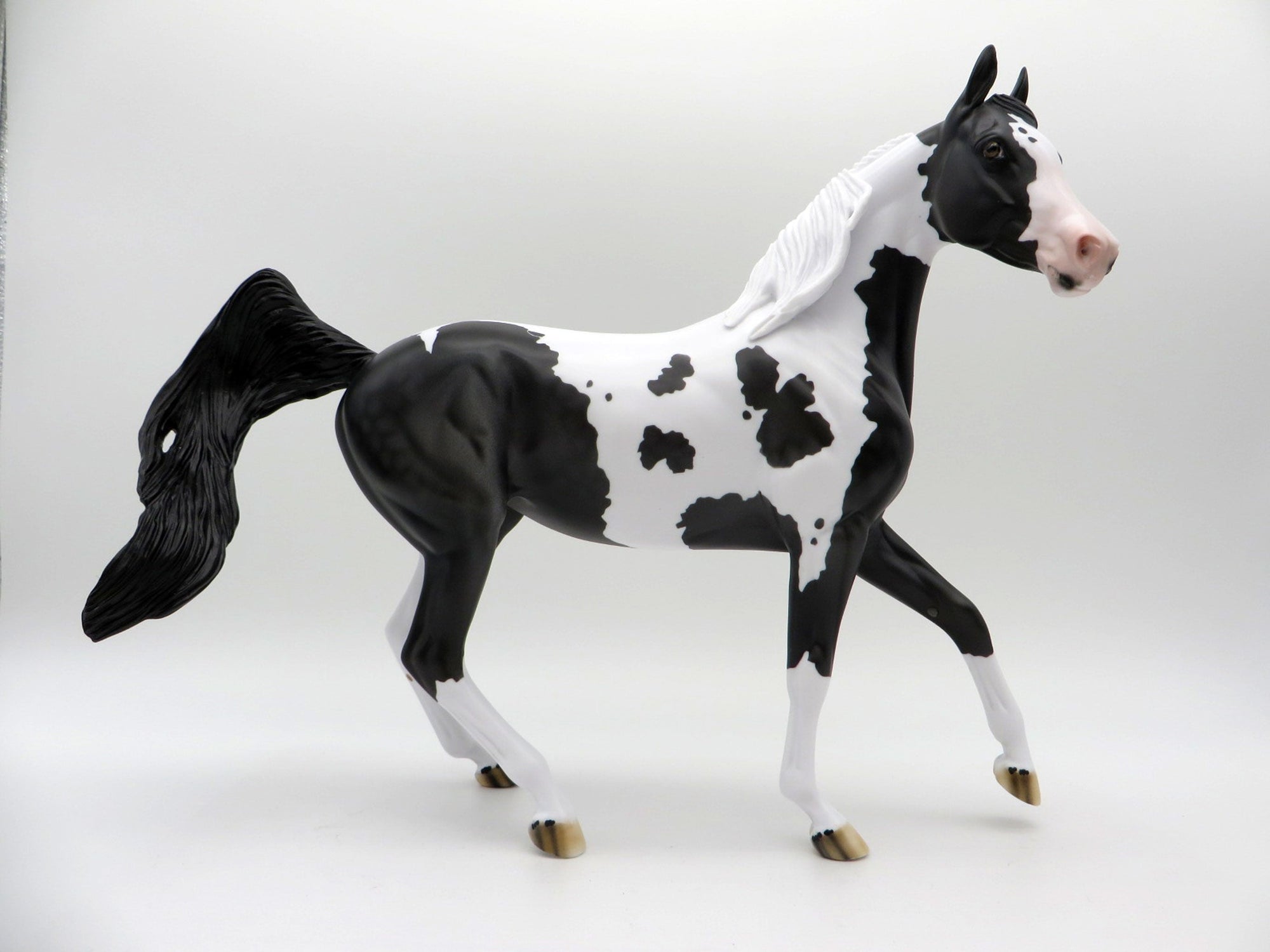 Delphinus-LE-3 Black and White Pinto Arabian Mare SHCF 2021