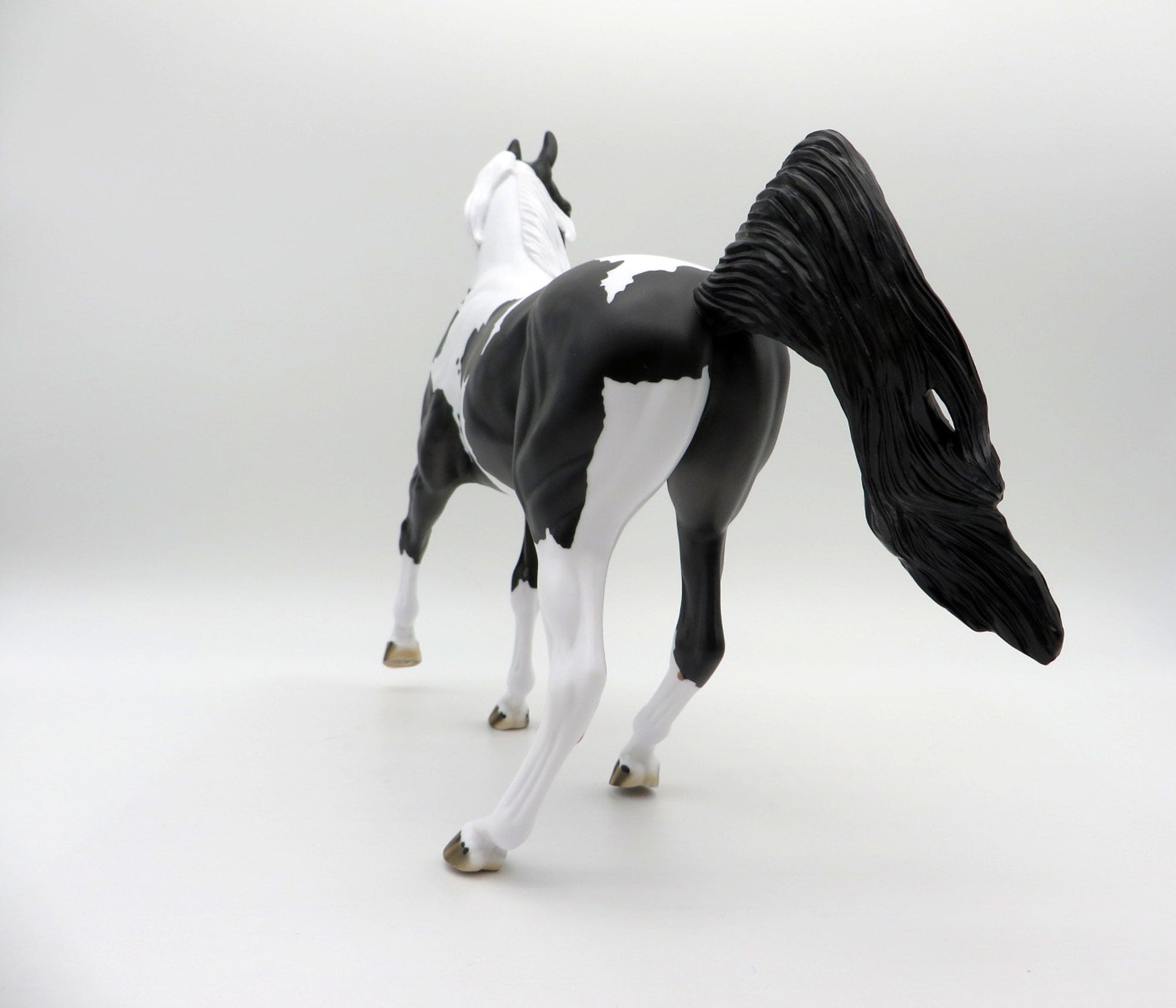 Delphinus-LE-3 Black and White Pinto Arabian Mare SHCF 2021