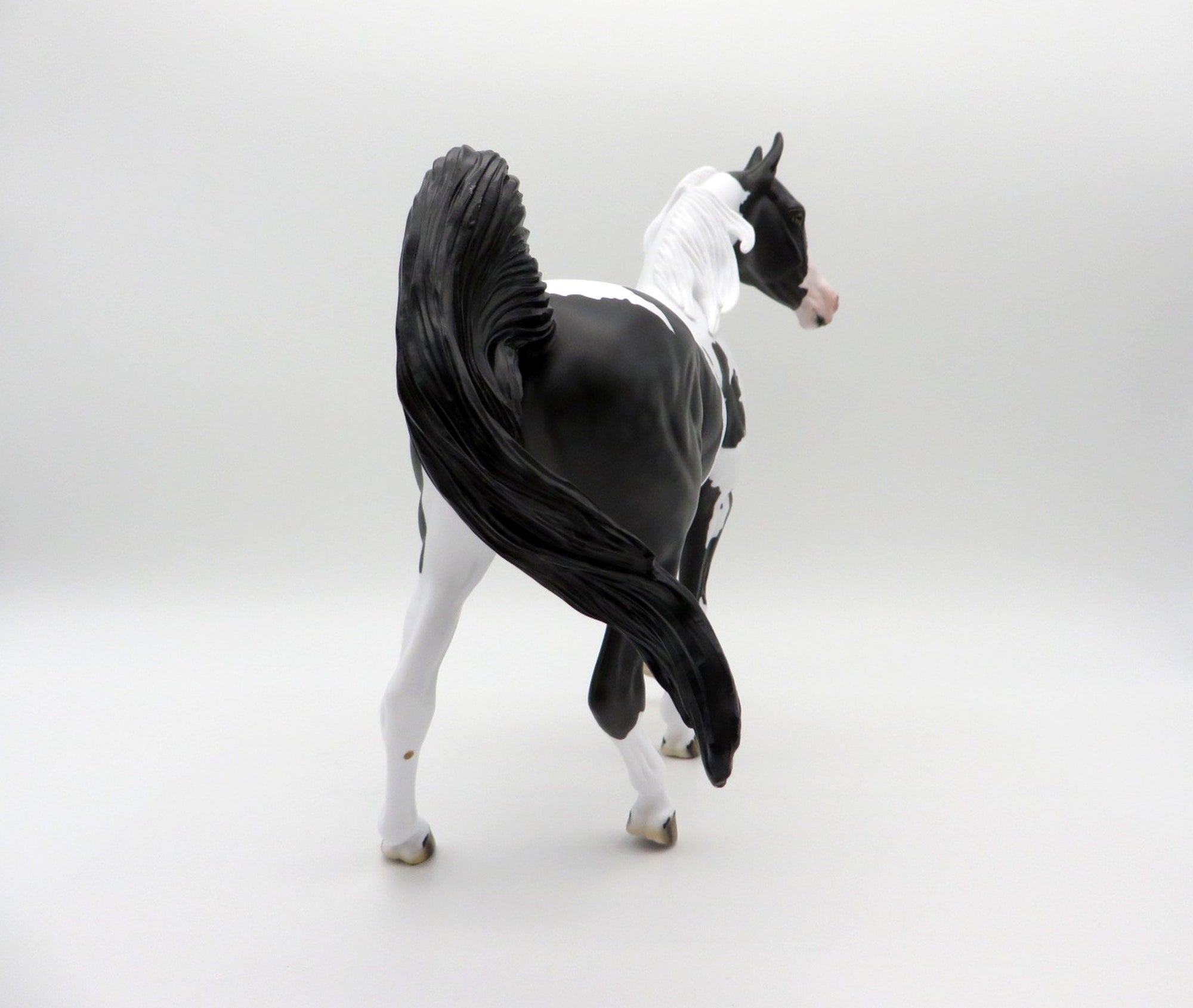 Delphinus-LE-3 Black and White Pinto Arabian Mare SHCF 2021