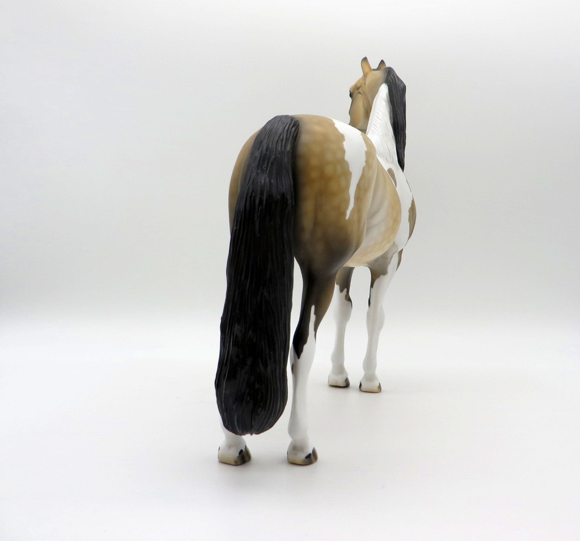 Desert Sky-OOAK Buckskin Morgan Paint SHCF 2021