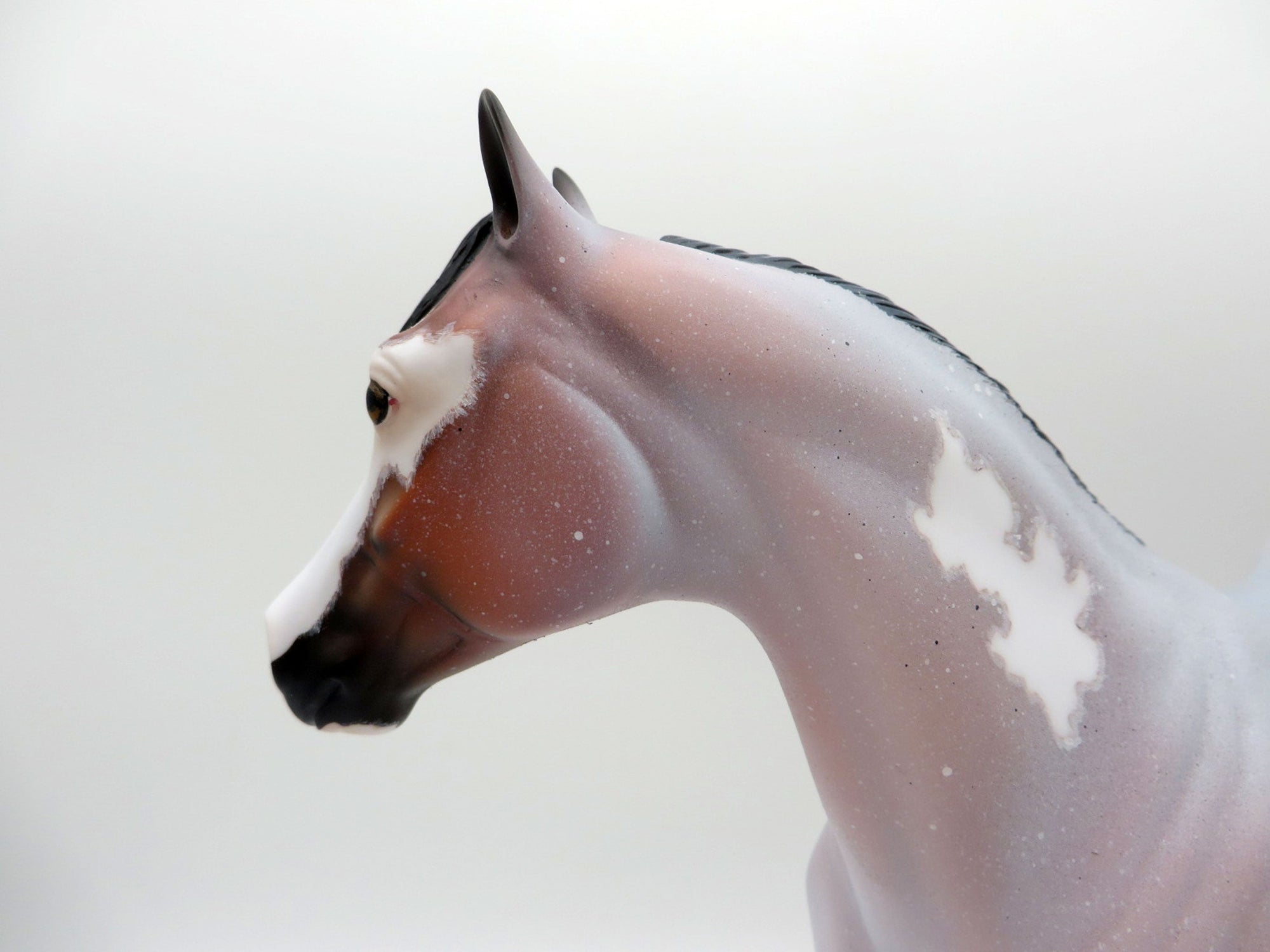 Diamonds and Rust-OOAK Bay Roan Pinto ISH Painted by Ellen EQ 21