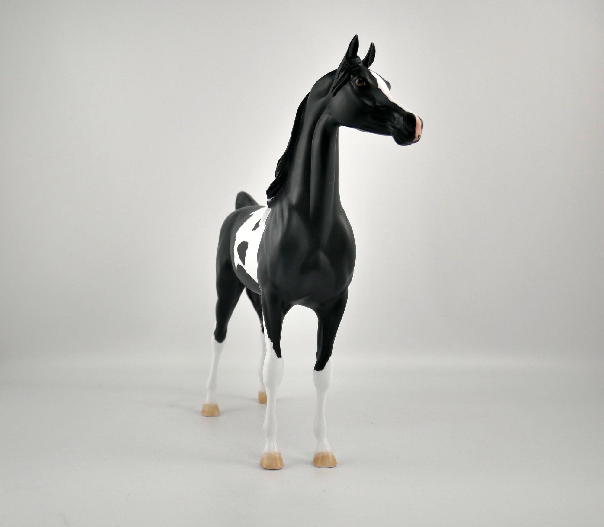 DICE-OOAK BLACK TOBIANO ARABIAN BY ELLEN ROBBINS 12/09/20