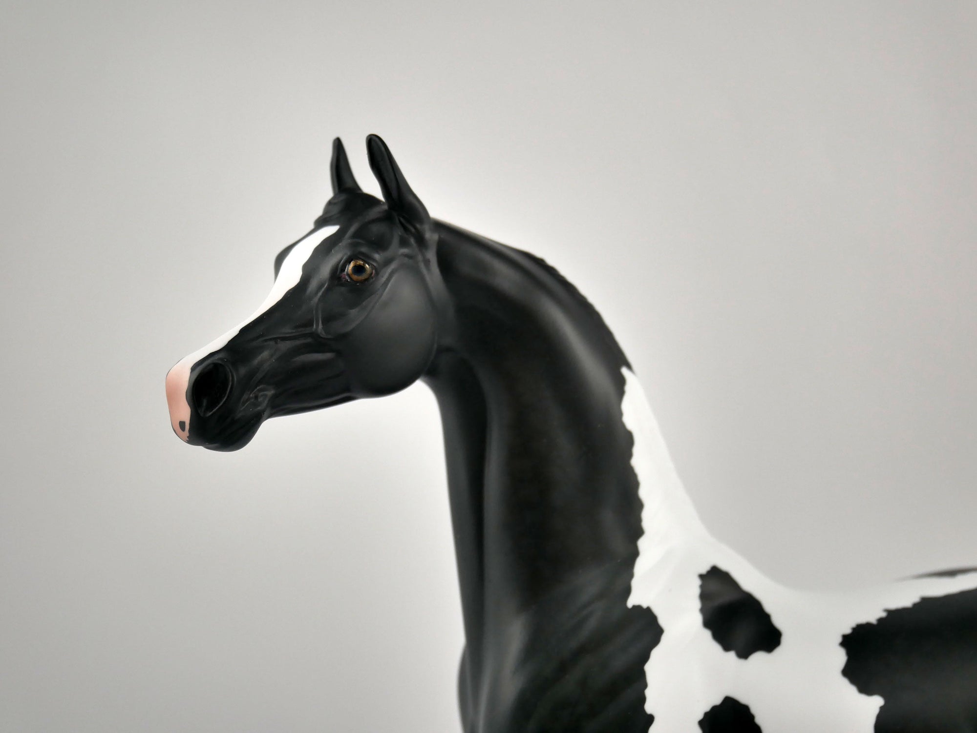 DICE-OOAK BLACK TOBIANO ARABIAN BY ELLEN ROBBINS 12/09/20