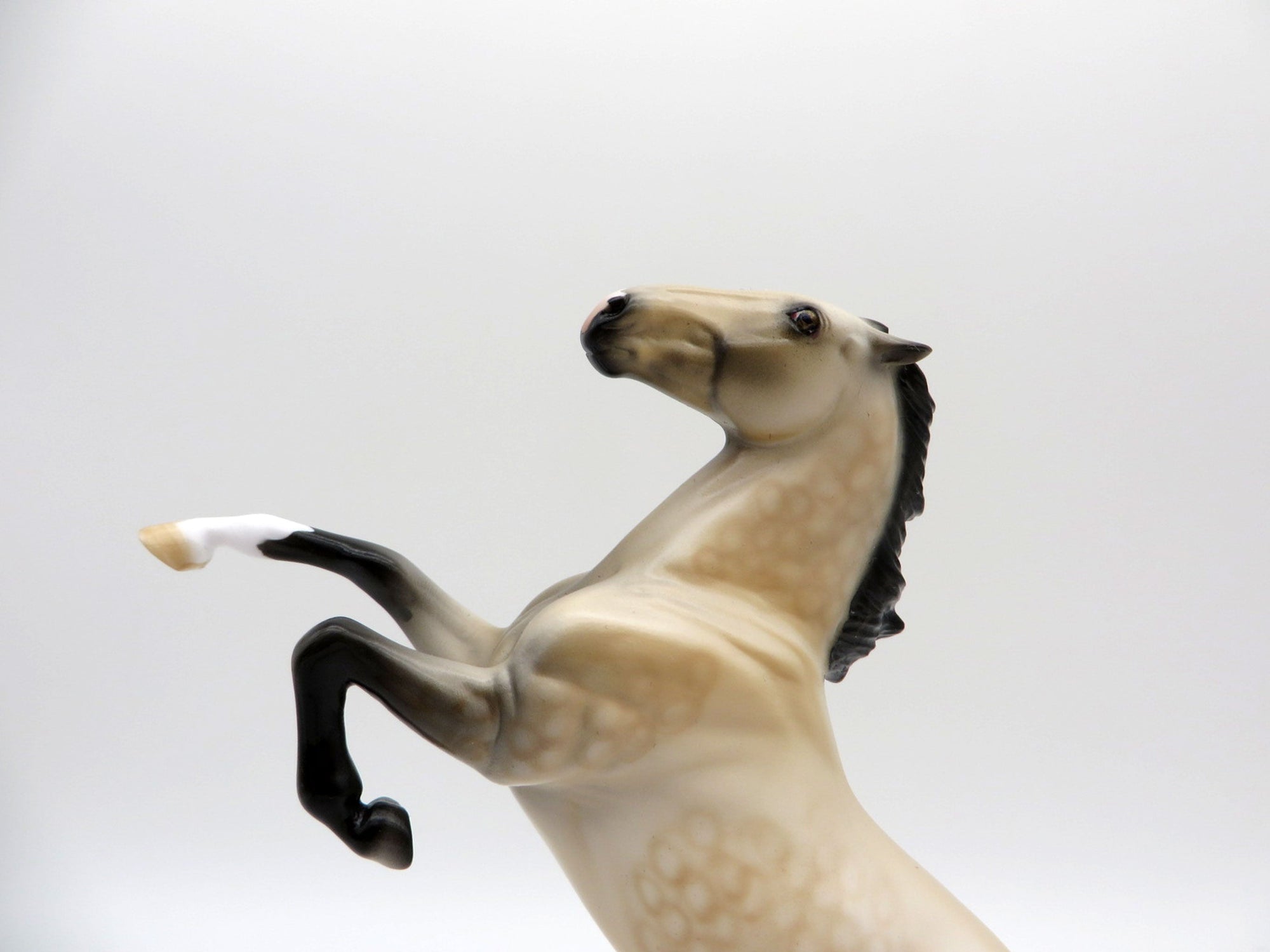 Dickens-OOAK Dapple Buckskin Rearing Pebbles Painted By Dawn Quick EQ 2021