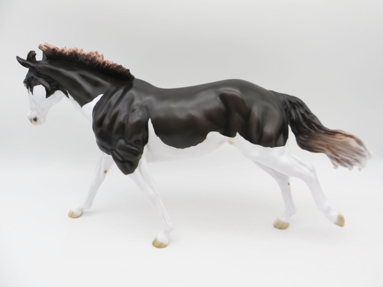 Diesel-LE-15 Running Stock Horse Husky-By Jess Hamill P&C 23