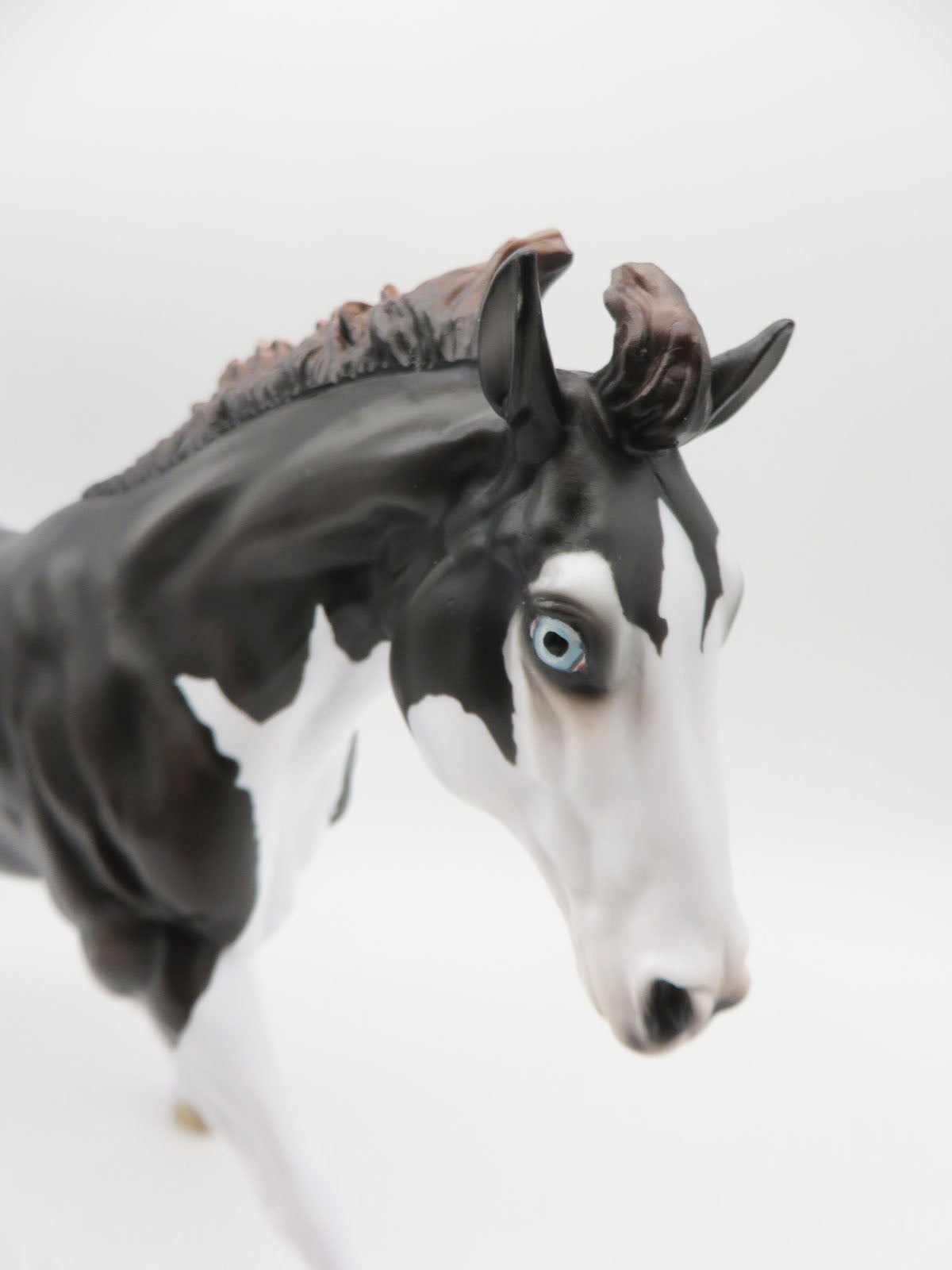 Diesel-LE-15 Running Stock Horse Husky-By Jess Hamill P&C 23