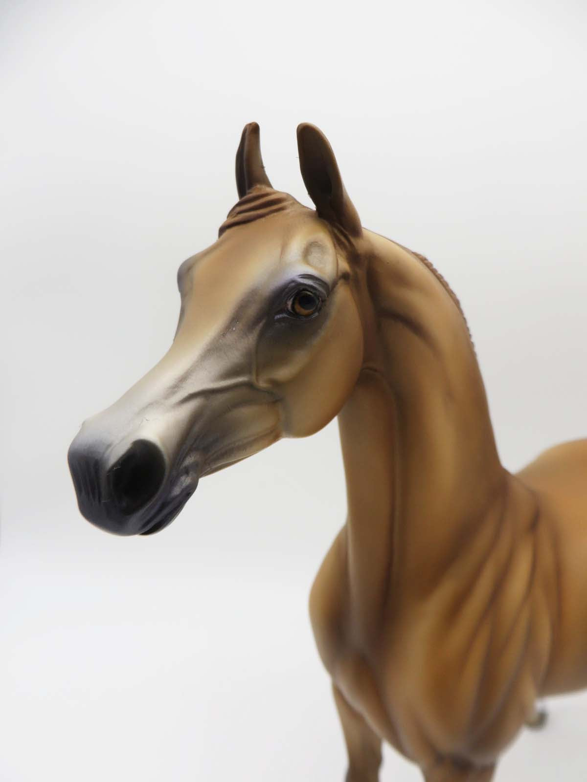 DIGGER-OOAK Chestnut Arabian By Jess Hamill P&C 23