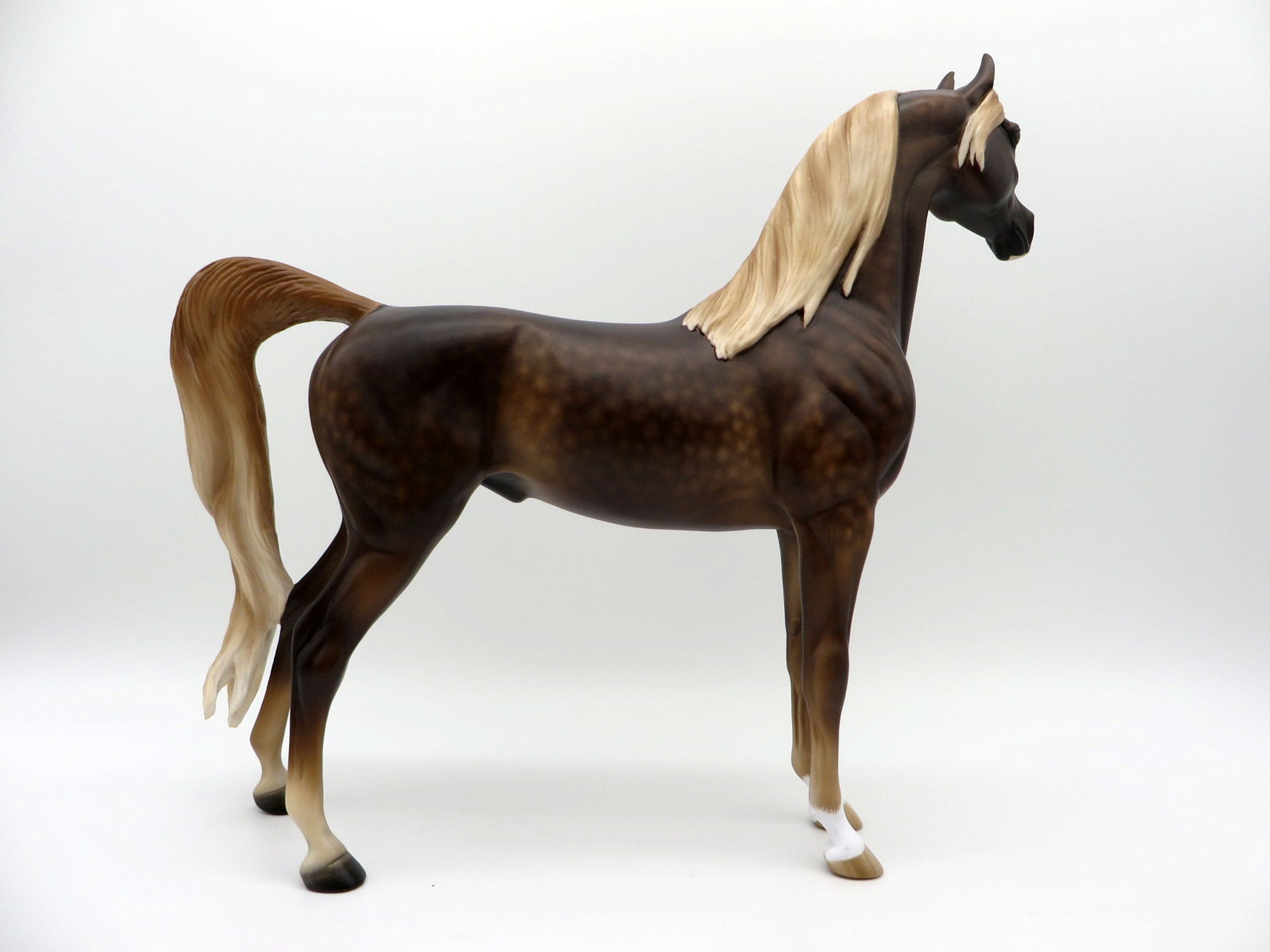 Disk O-dappled bay arabian by Sheryl Leisure