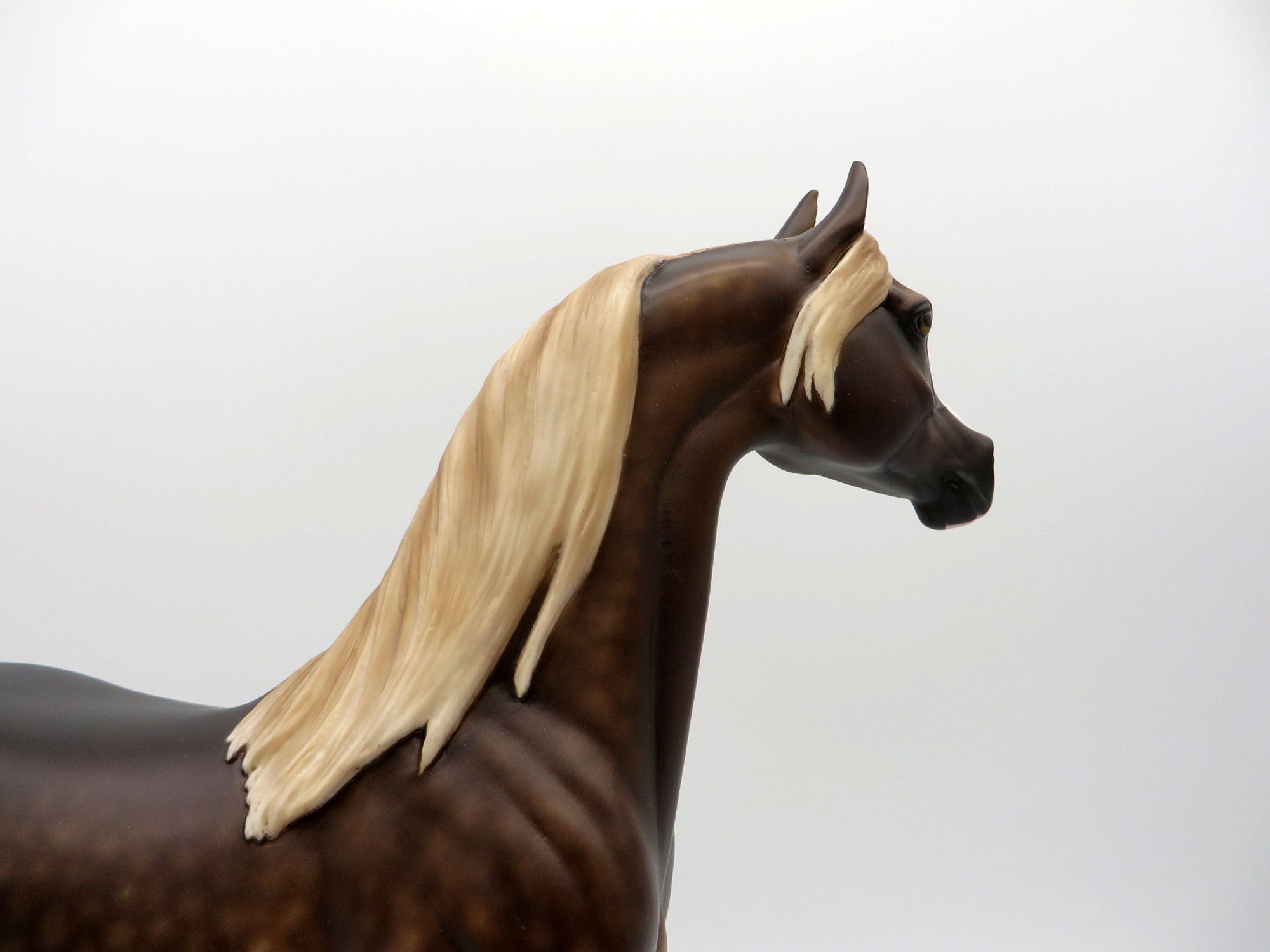 Disk O-dappled bay arabian by Sheryl Leisure