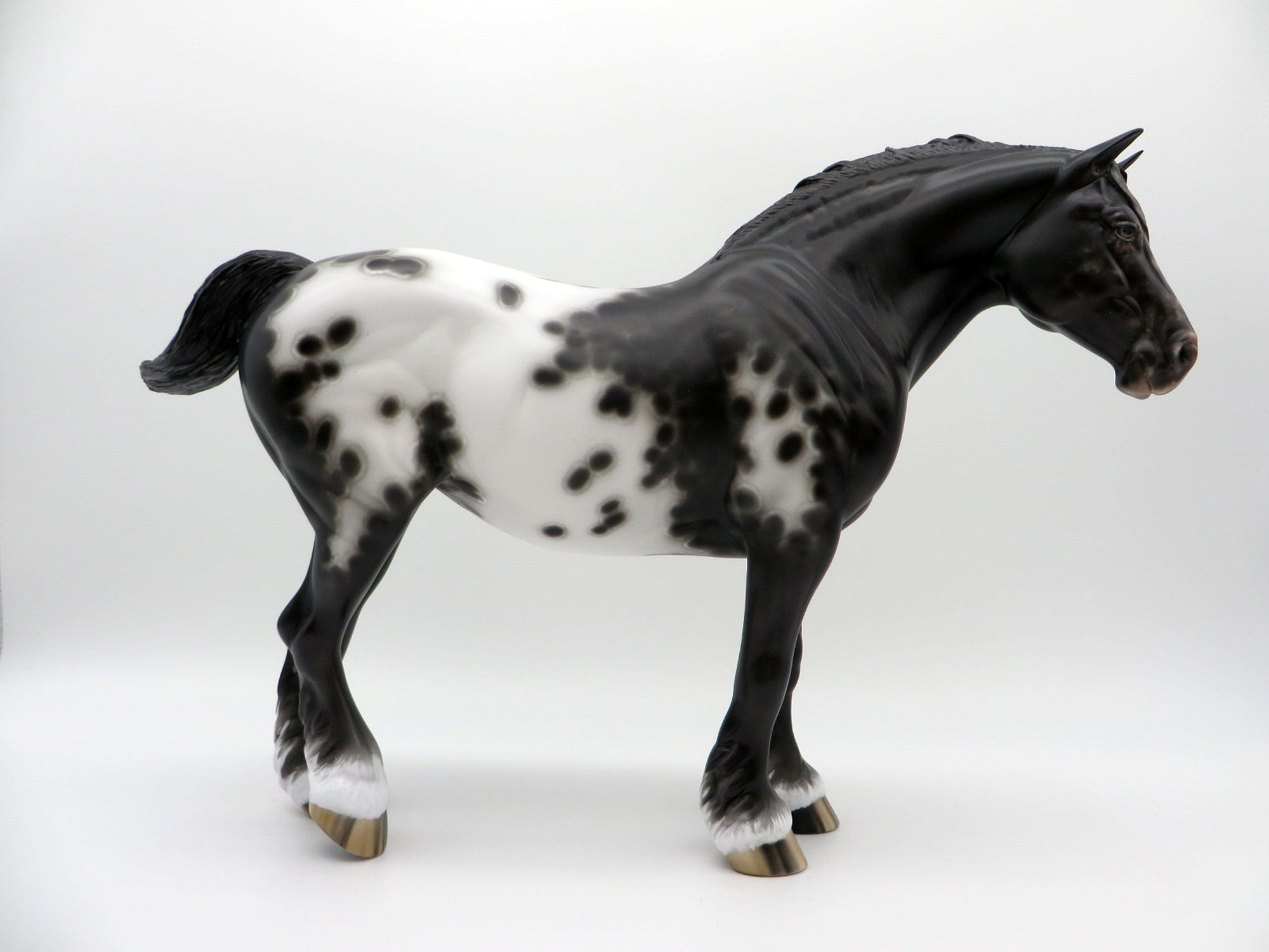 Dominque-OOAK Black Appaloosa Heavy Draft Mare 3/29/21