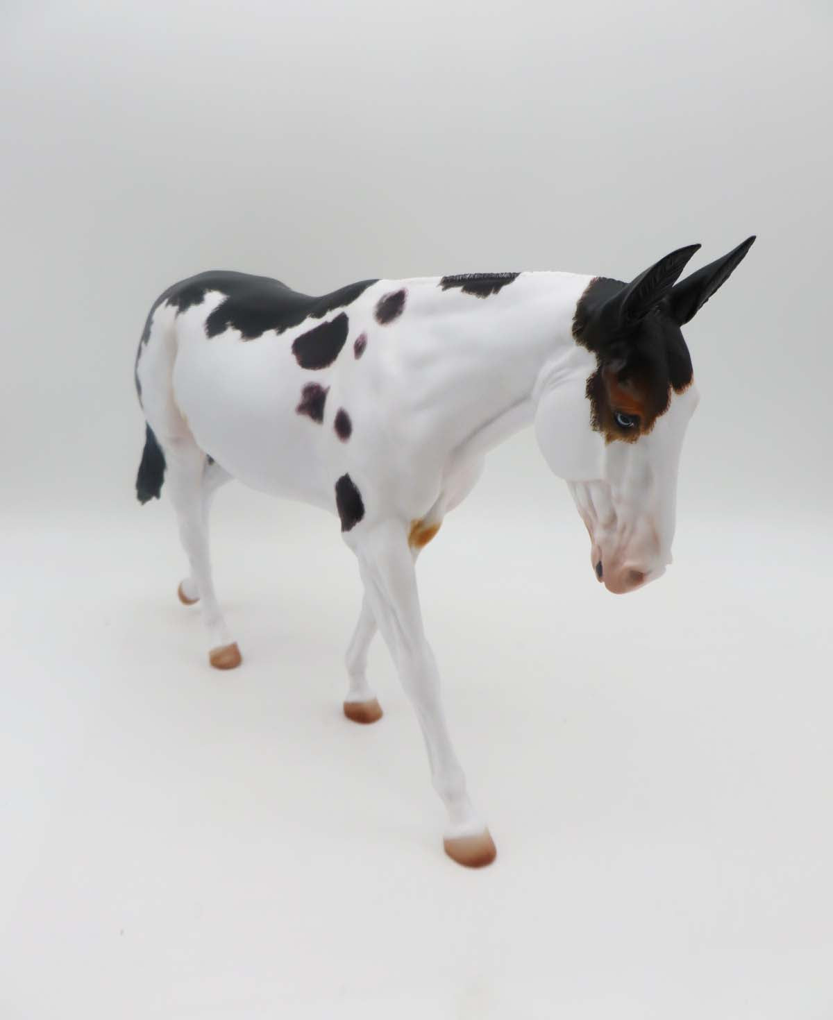 Dottie - OOAK - Spotted Mule by Julie Keim - P&C 23