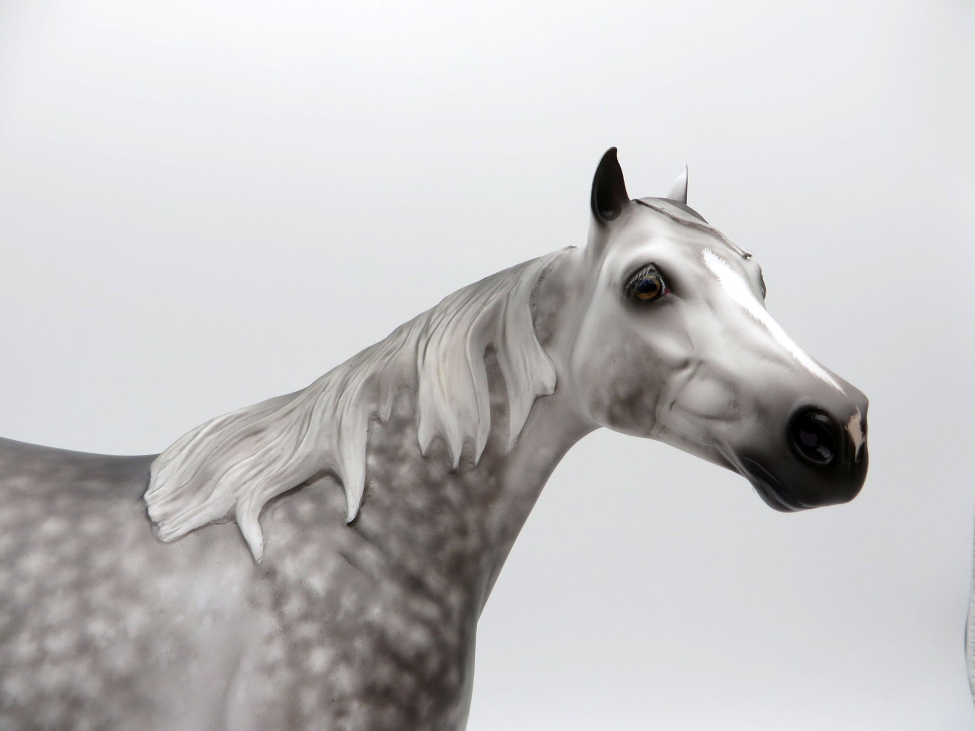 Down to the Sea-OOAK Dapple Grey ISH Painted by Sheryl Leisure 8/1/21