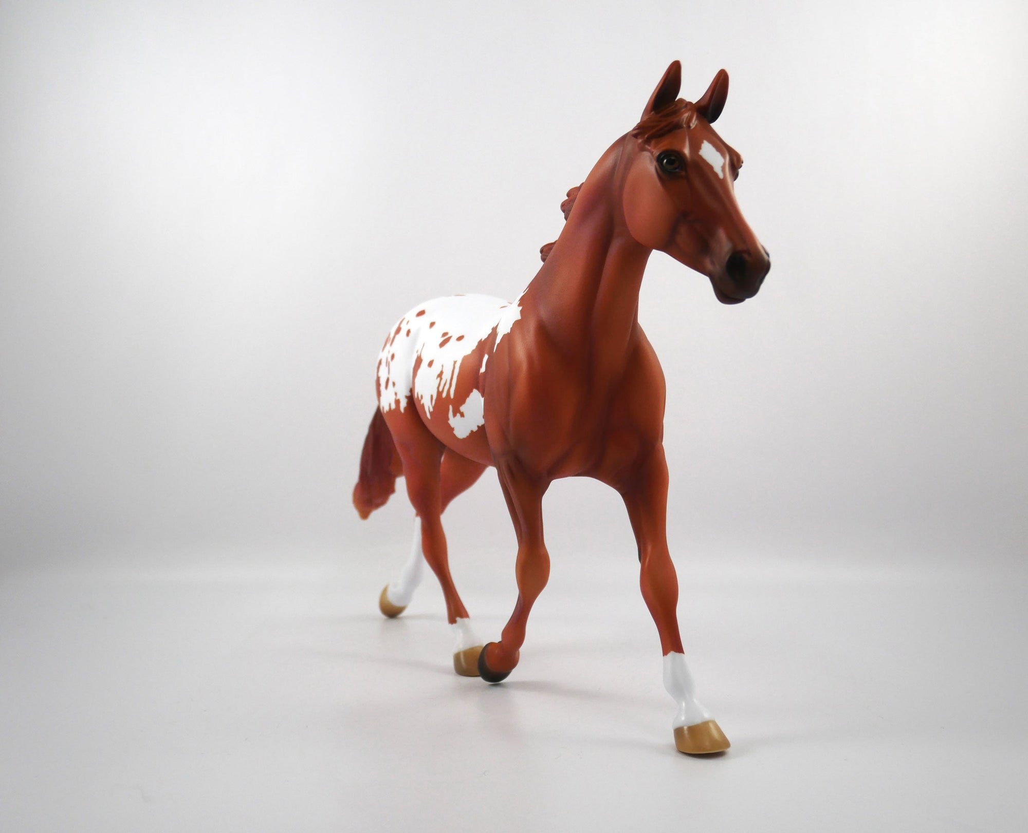 Drafted-OOAK Chestnut Appaloosa Palouse SB21