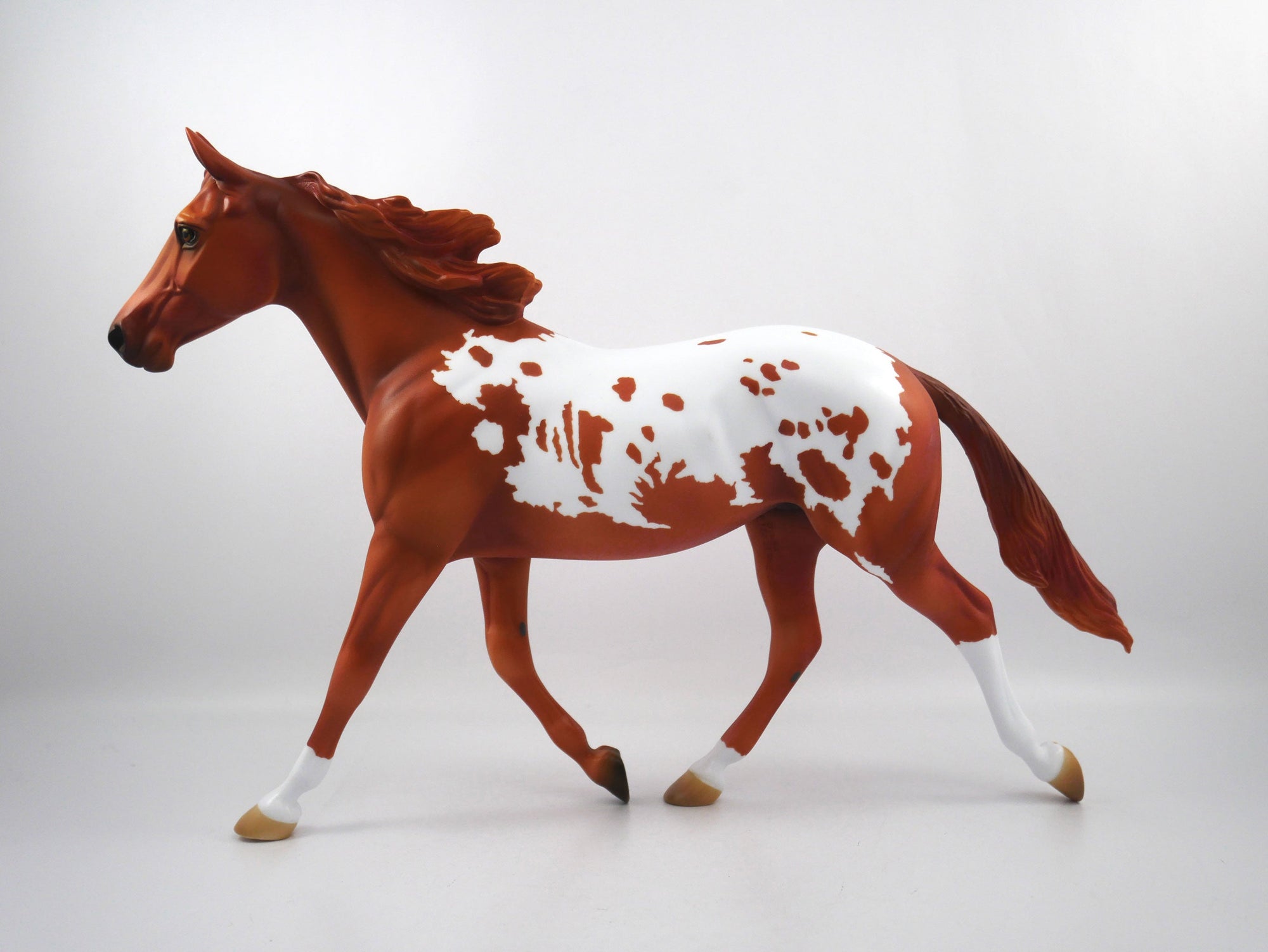 Drafted-OOAK Chestnut Appaloosa Palouse SB21