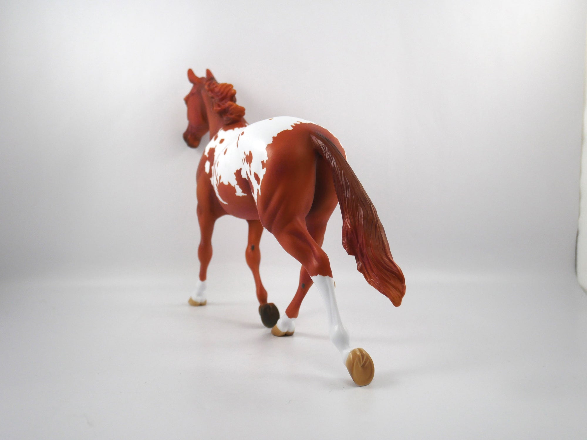 Drafted-OOAK Chestnut Appaloosa Palouse SB21