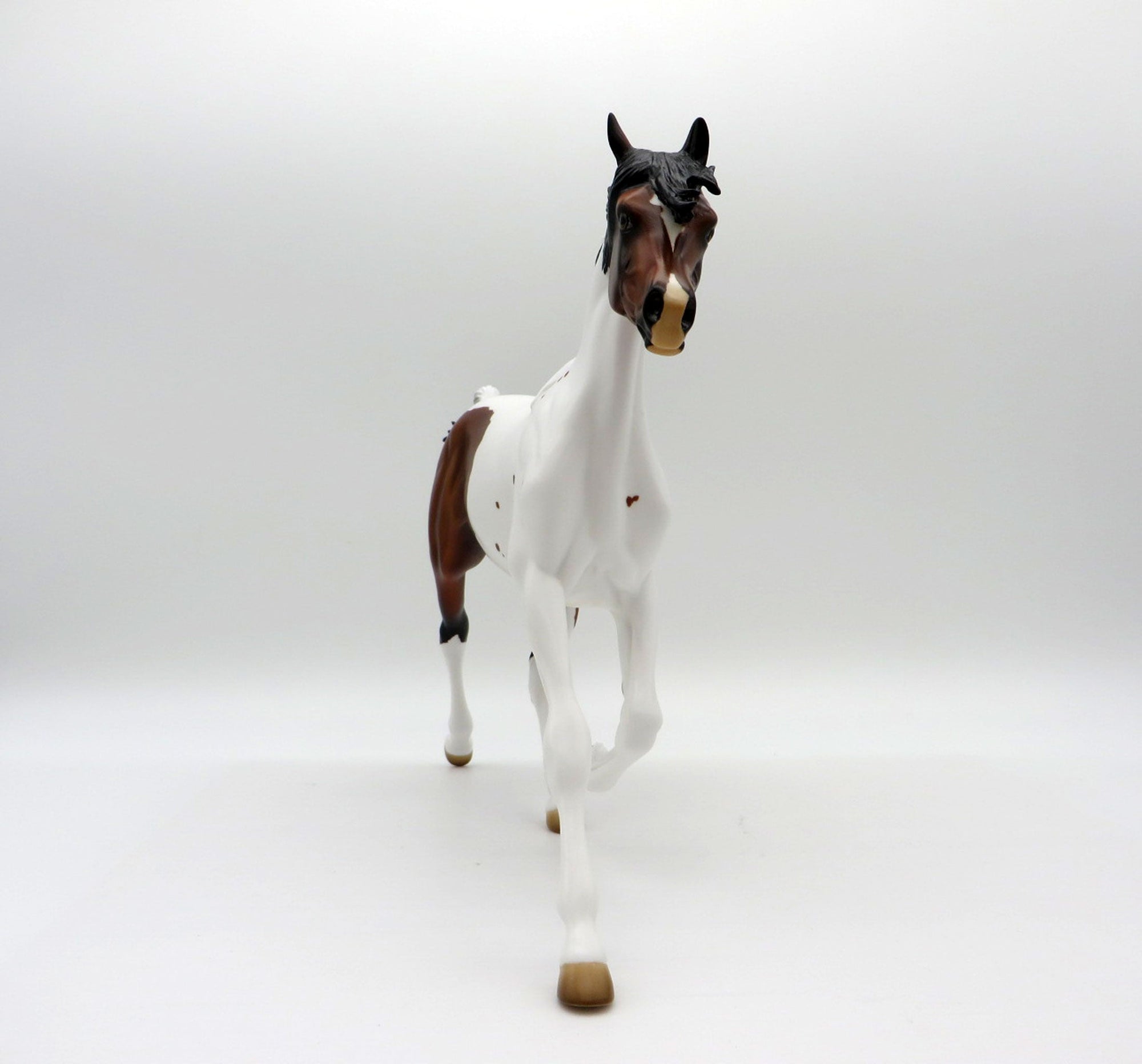 DREAMS OF CHEYENNE-LE-20 Bay Pinto Yearling Painted By Audrey Dixon EQ 21