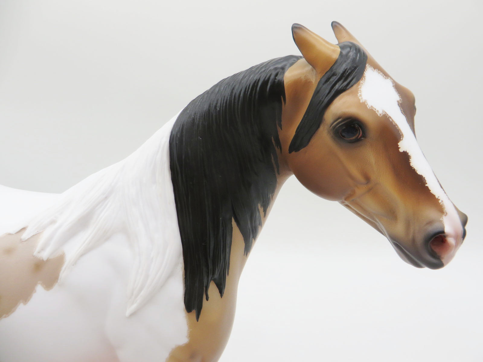 Driscoll - OOAK - Buckskin Roan Tobiano Ideal Stock Horse By Caroline Boydston BEST OFFER 11/21/22