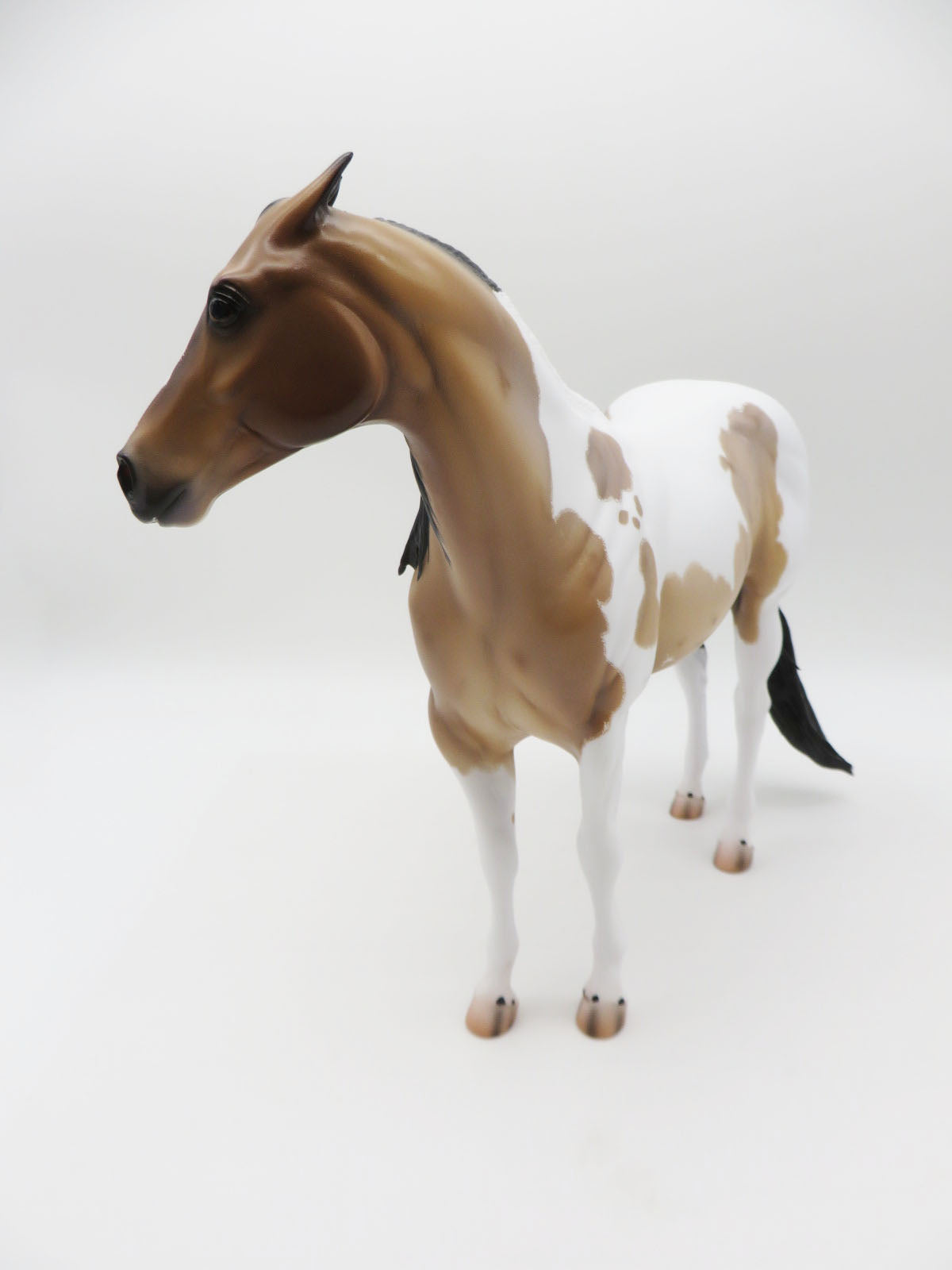 Driscoll - OOAK - Buckskin Roan Tobiano Ideal Stock Horse By Caroline Boydston BEST OFFER 11/21/22