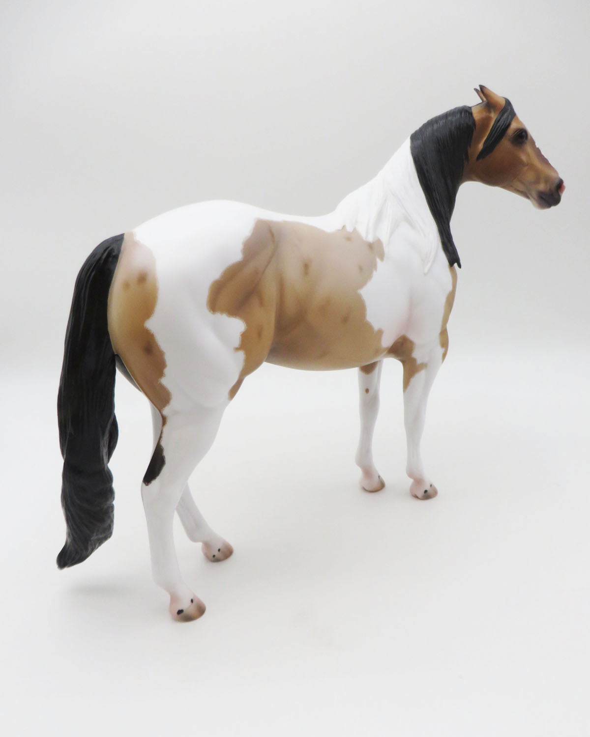 Driscoll - OOAK - Buckskin Roan Tobiano Ideal Stock Horse By Caroline Boydston BEST OFFER 11/21/22