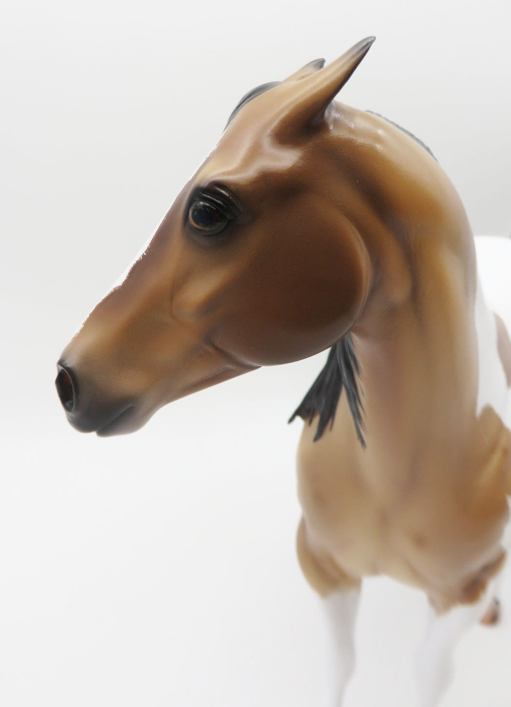 Driscoll - OOAK - Buckskin Roan Tobiano Ideal Stock Horse By Caroline Boydston BEST OFFER 11/21/22