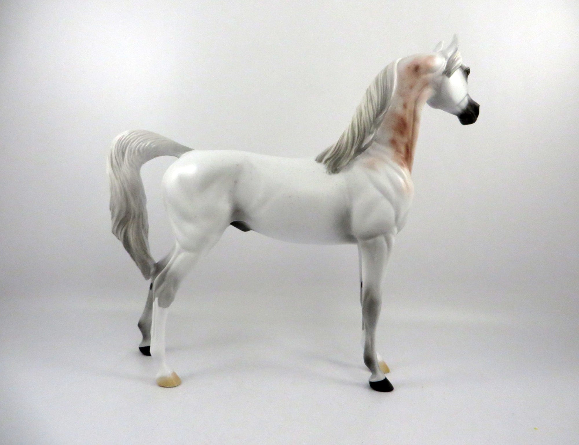 Druid-OOAK Bloody Shoulder Arabian 2/26/21