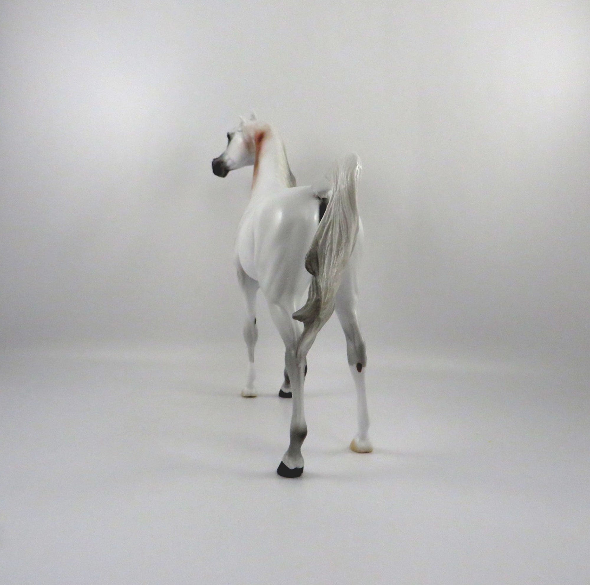 Druid-OOAK Bloody Shoulder Arabian 2/26/21