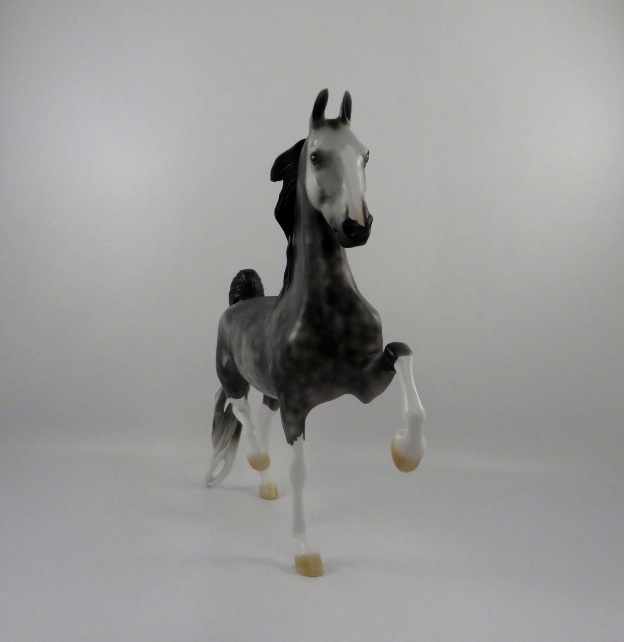 Dulaman-OOAK Dapple Grey Saddlebred 2/24/21