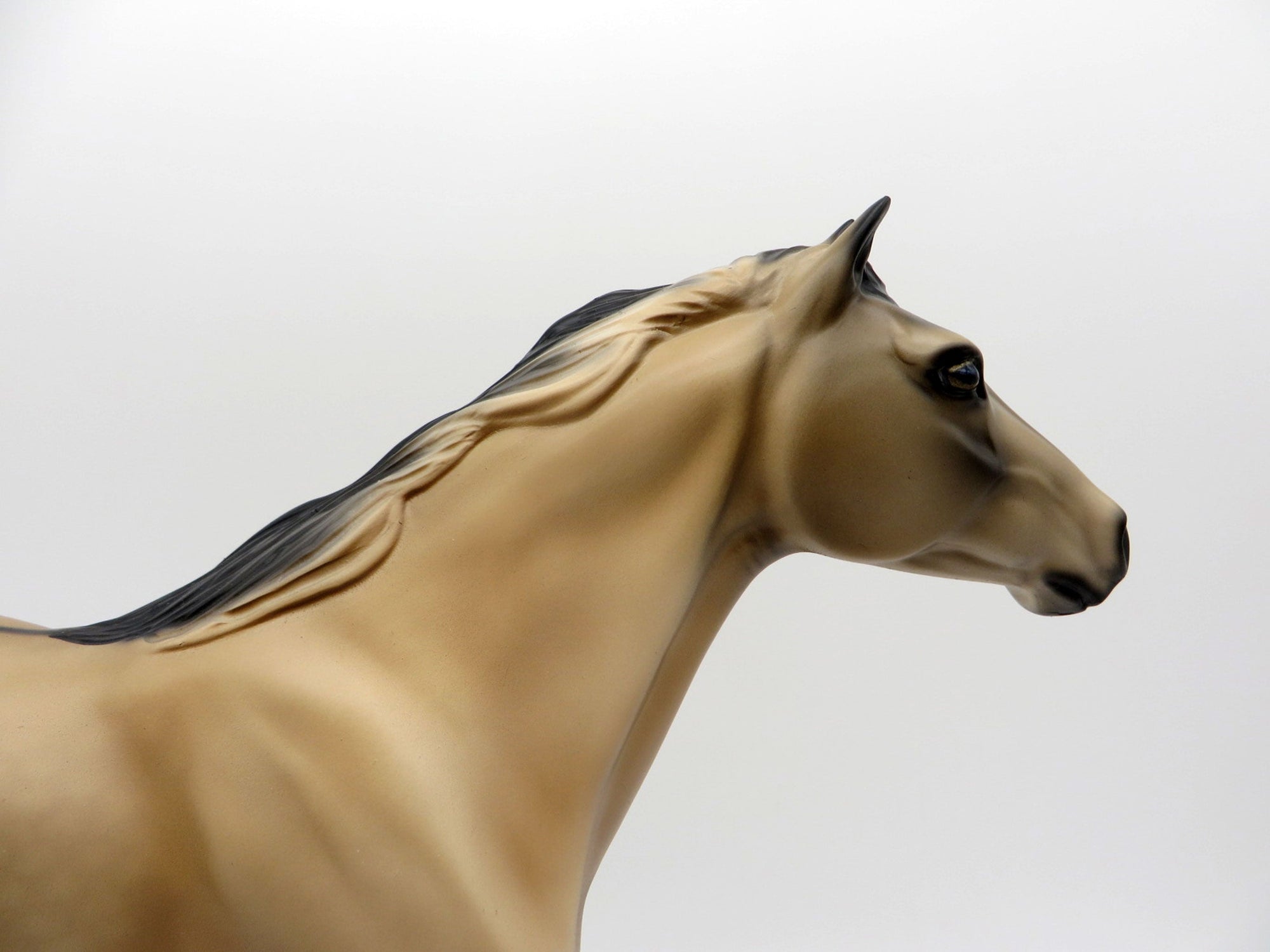 Dun Over It-OOAK Buckskin Mustang Painted by Audrey Dixon EQ 2021