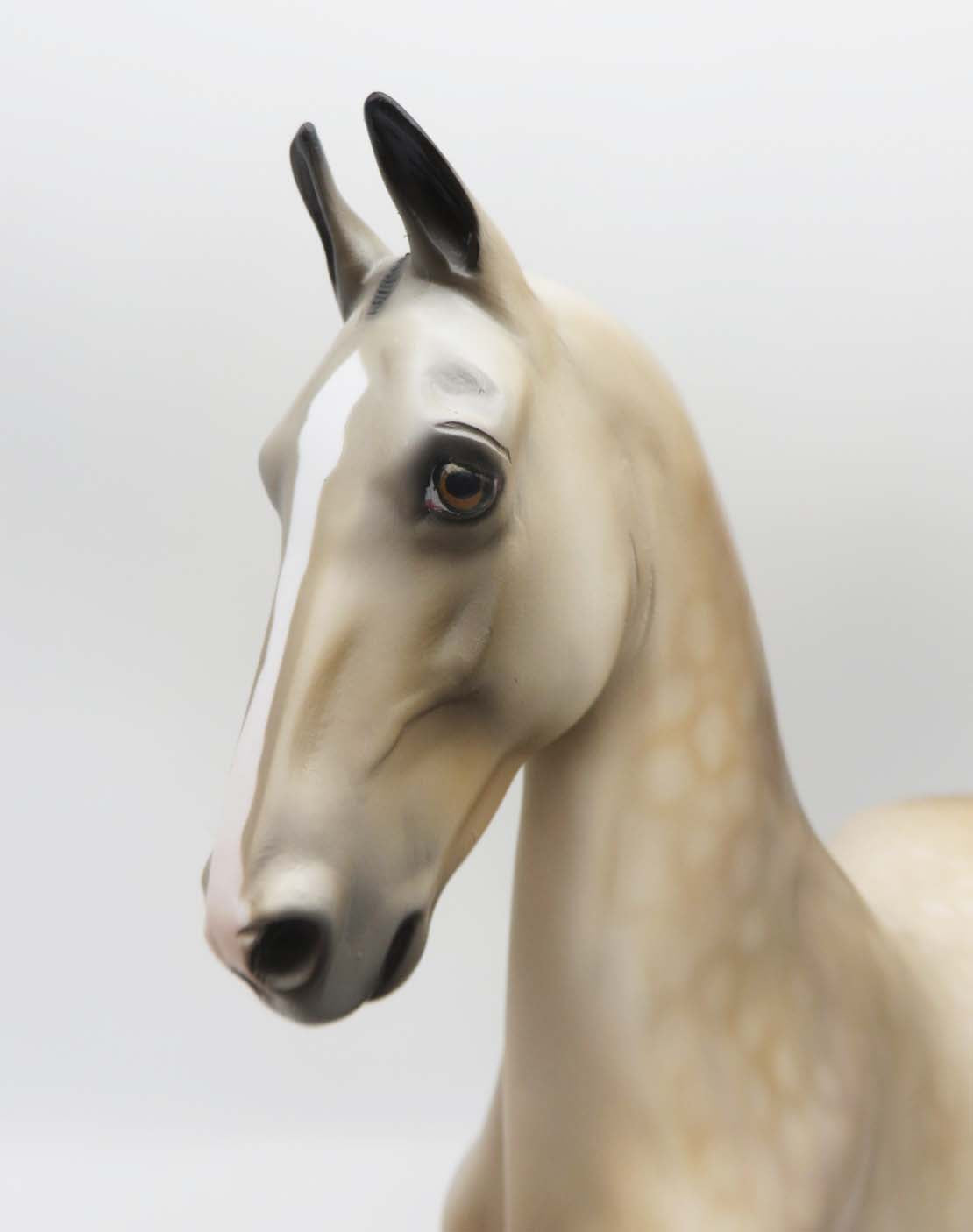 Dusk Til Dawn OOAK Dappled Buckskin Saddlebred By Dawn Quick SHCF23