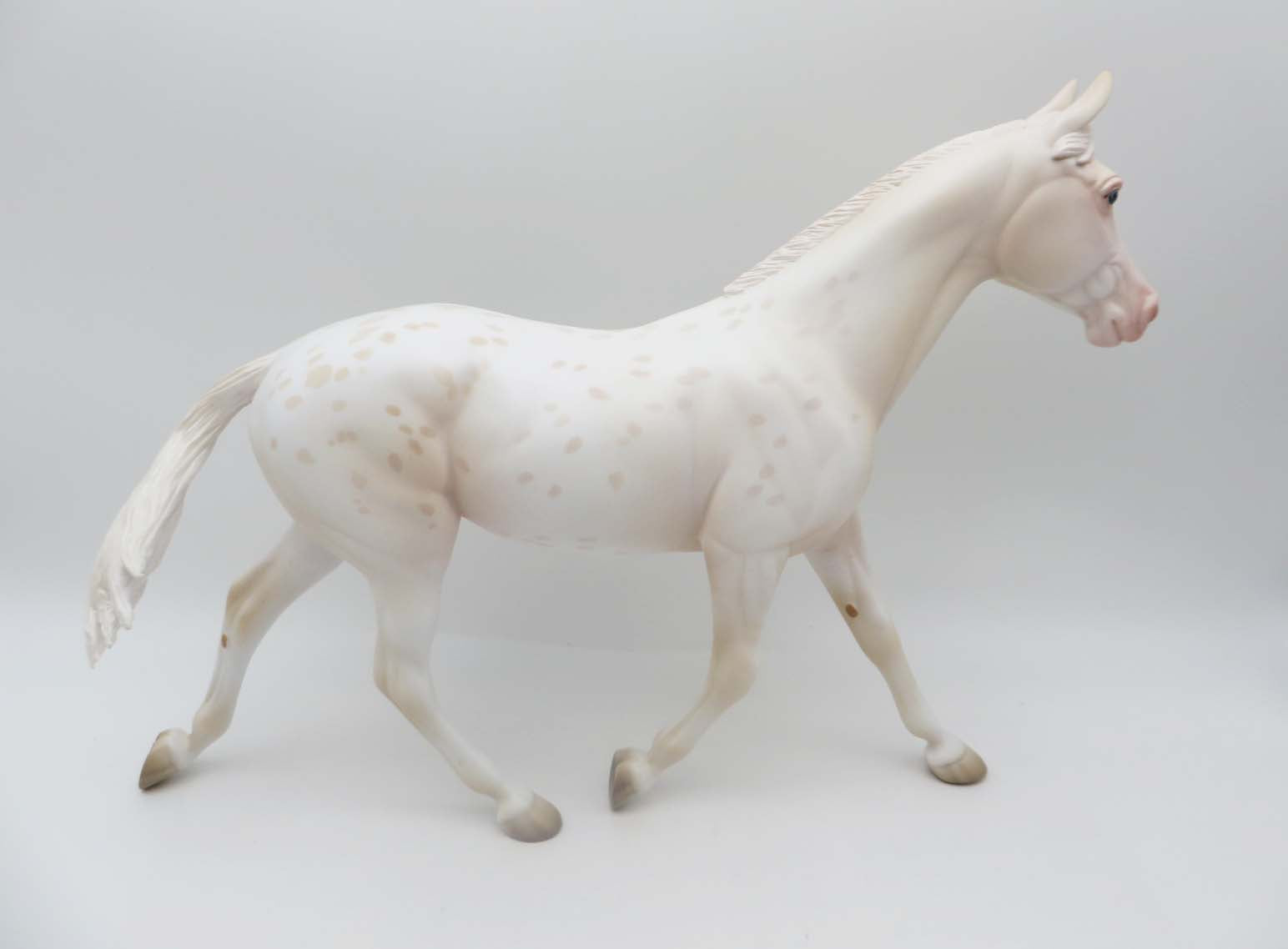 Dutchess - OOAK - Cremello Appy Palouse Inspired By Cream Parti Poodle By Jess Hamill - P&C 23