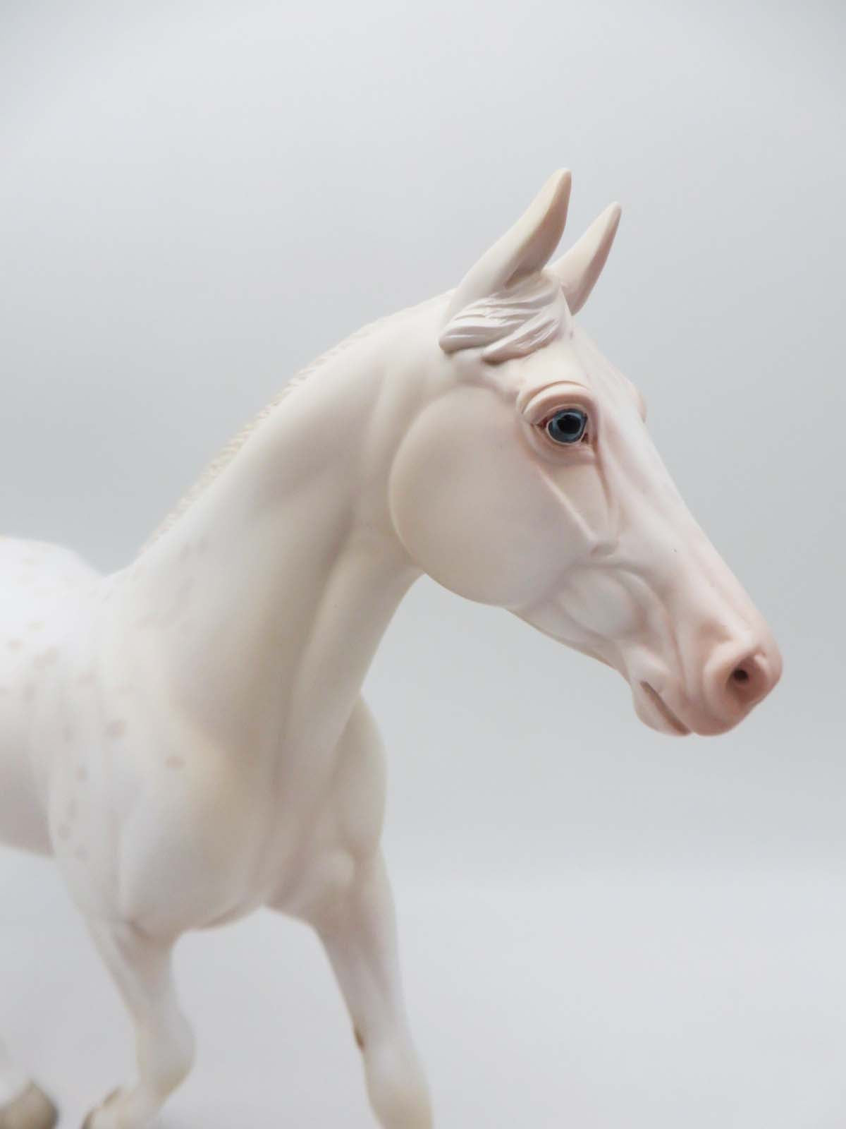 Dutchess - OOAK - Cremello Appy Palouse Inspired By Cream Parti Poodle By Jess Hamill - P&C 23