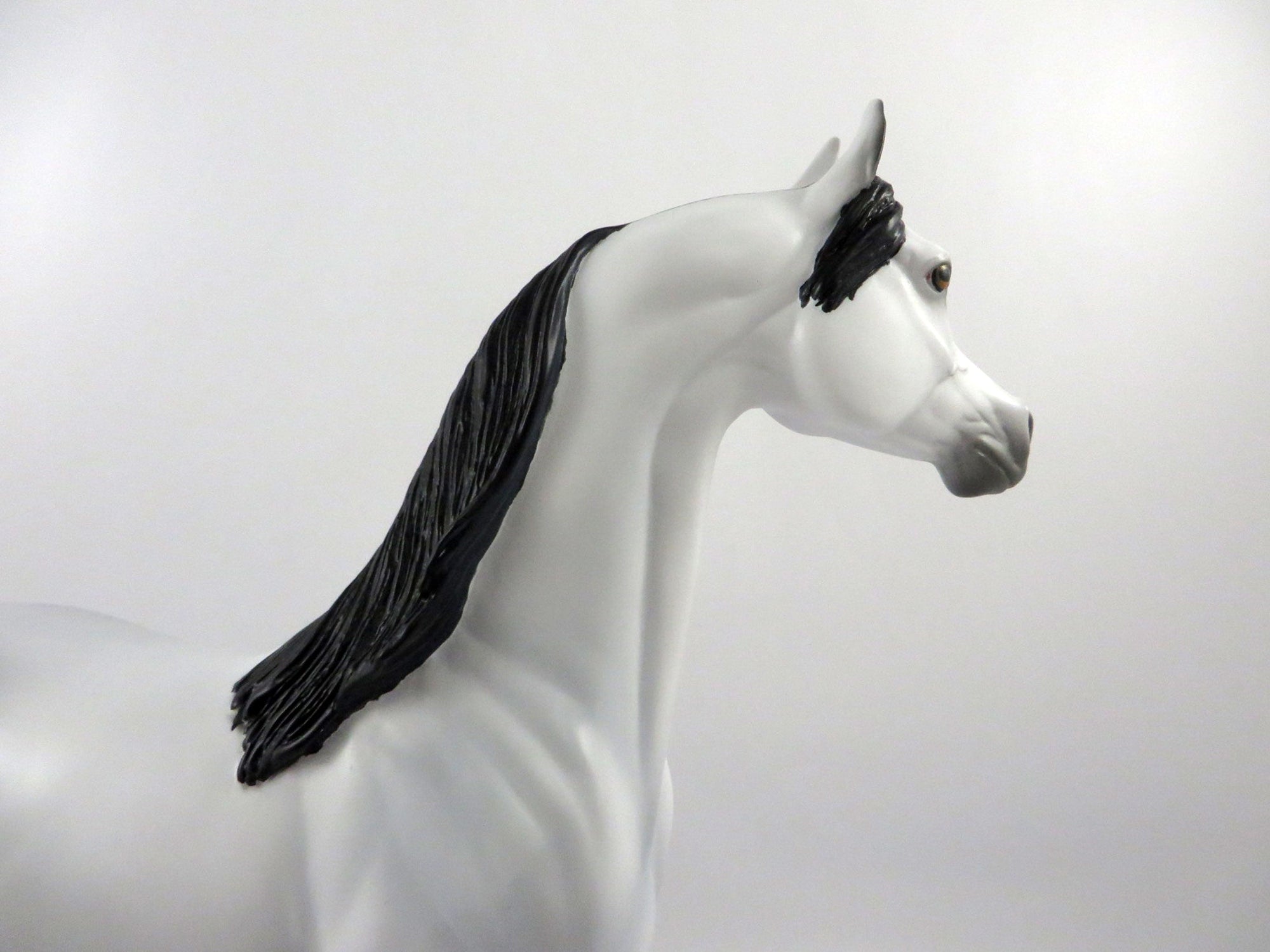 Ebbtide-OOAK Light Dapple Grey Arabian 2/26/21