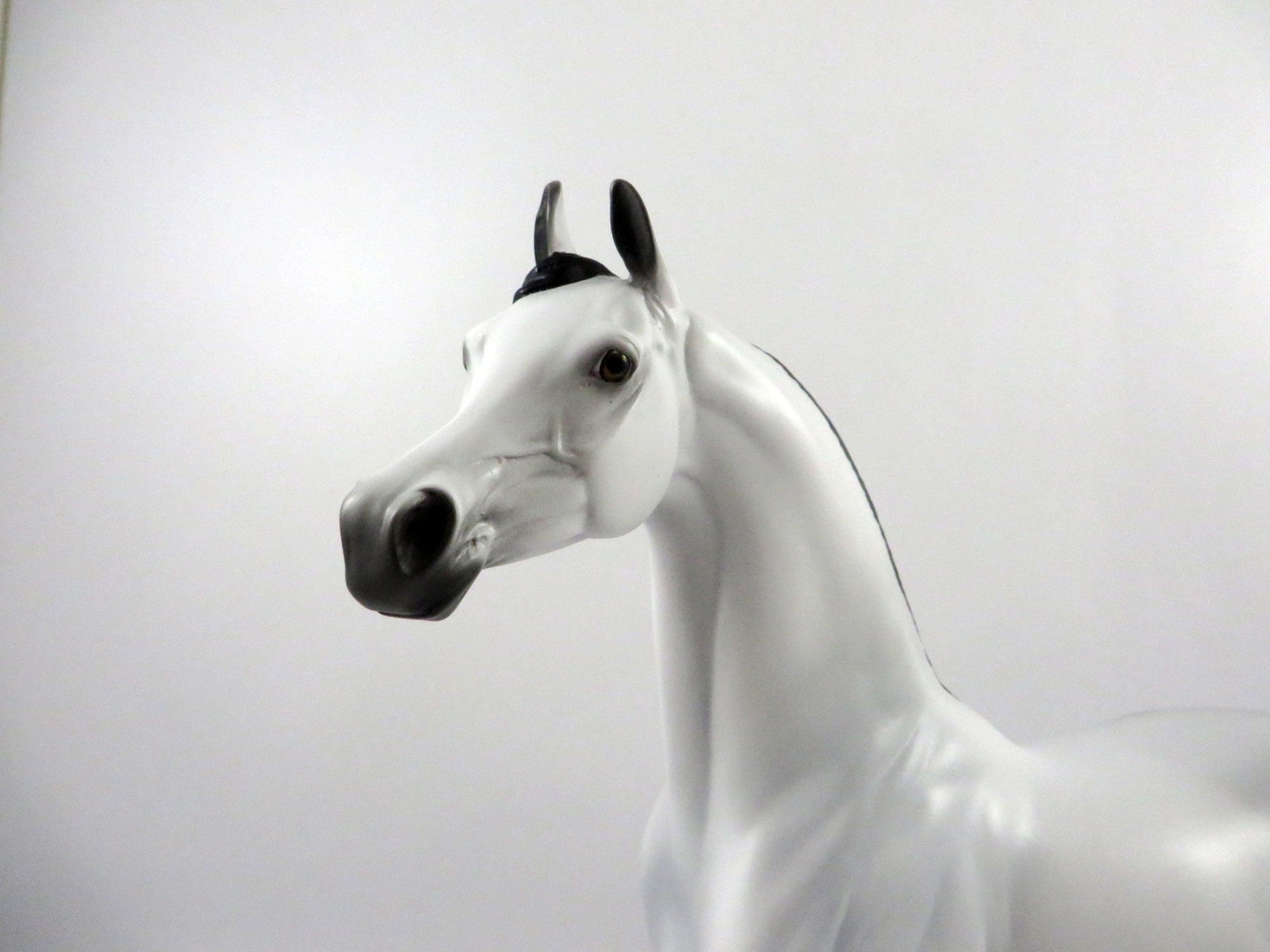 Ebbtide-OOAK Light Dapple Grey Arabian 2/26/21