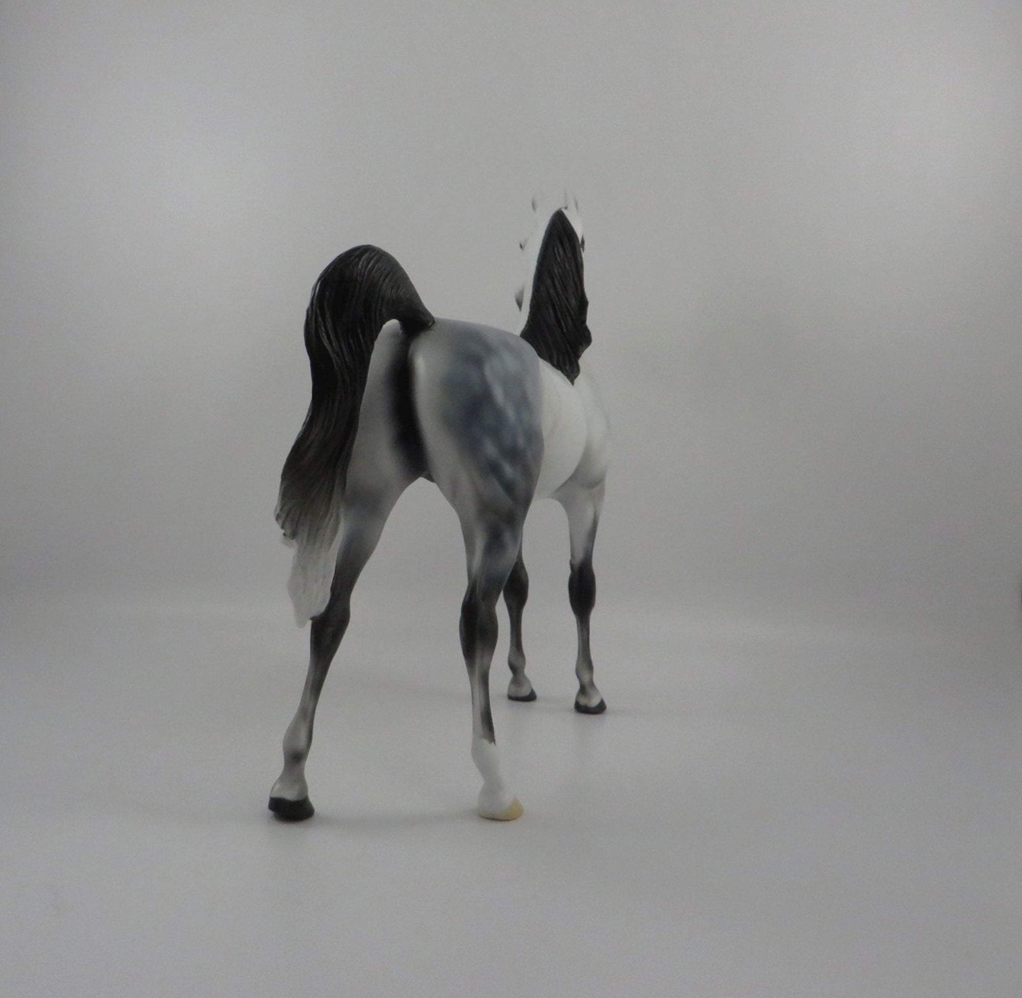 Ebbtide-OOAK Light Dapple Grey Arabian 2/26/21