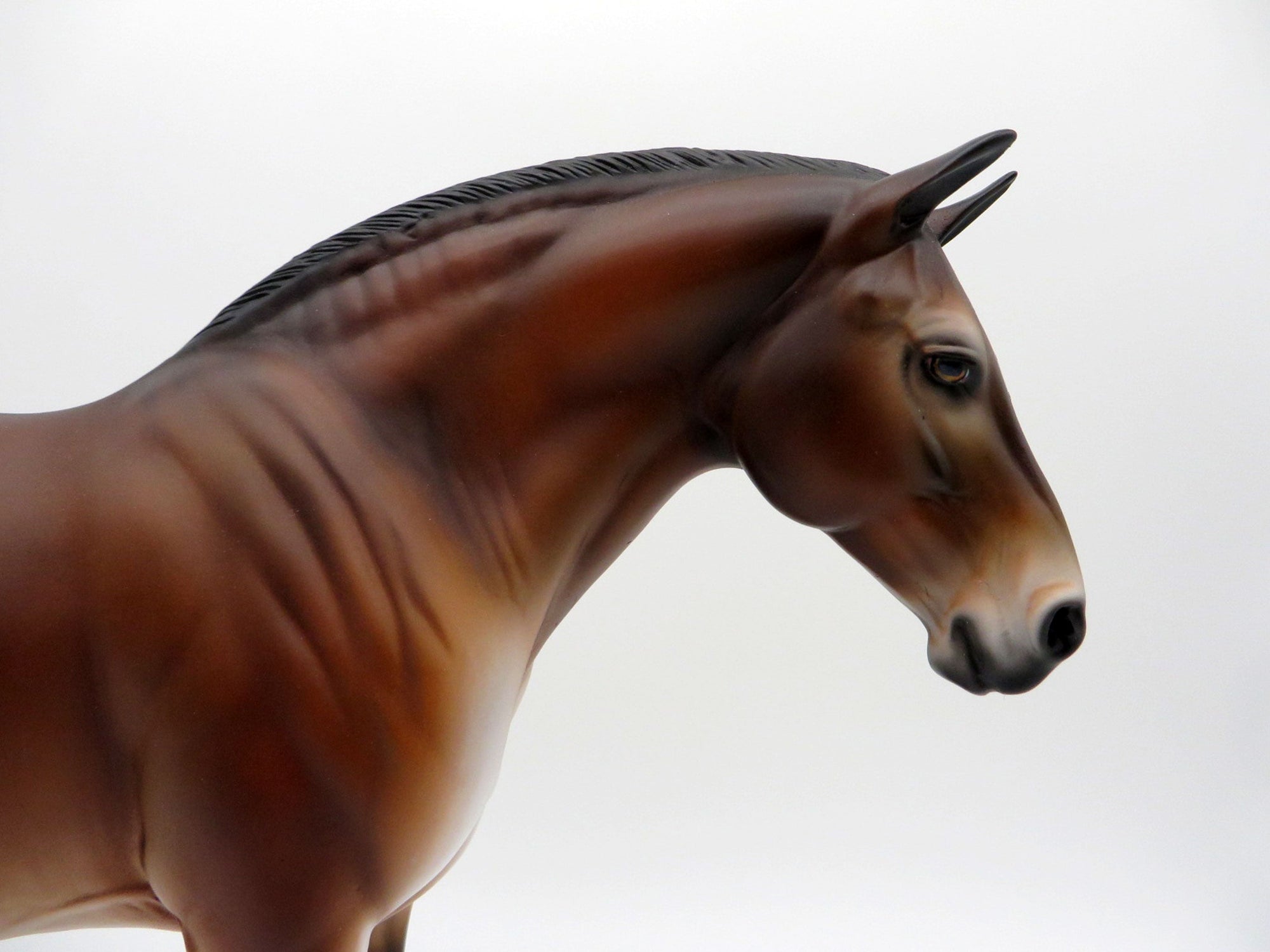 EBREL-OOAK Primitive Bay Heavy Draft Mare SHCF 2021