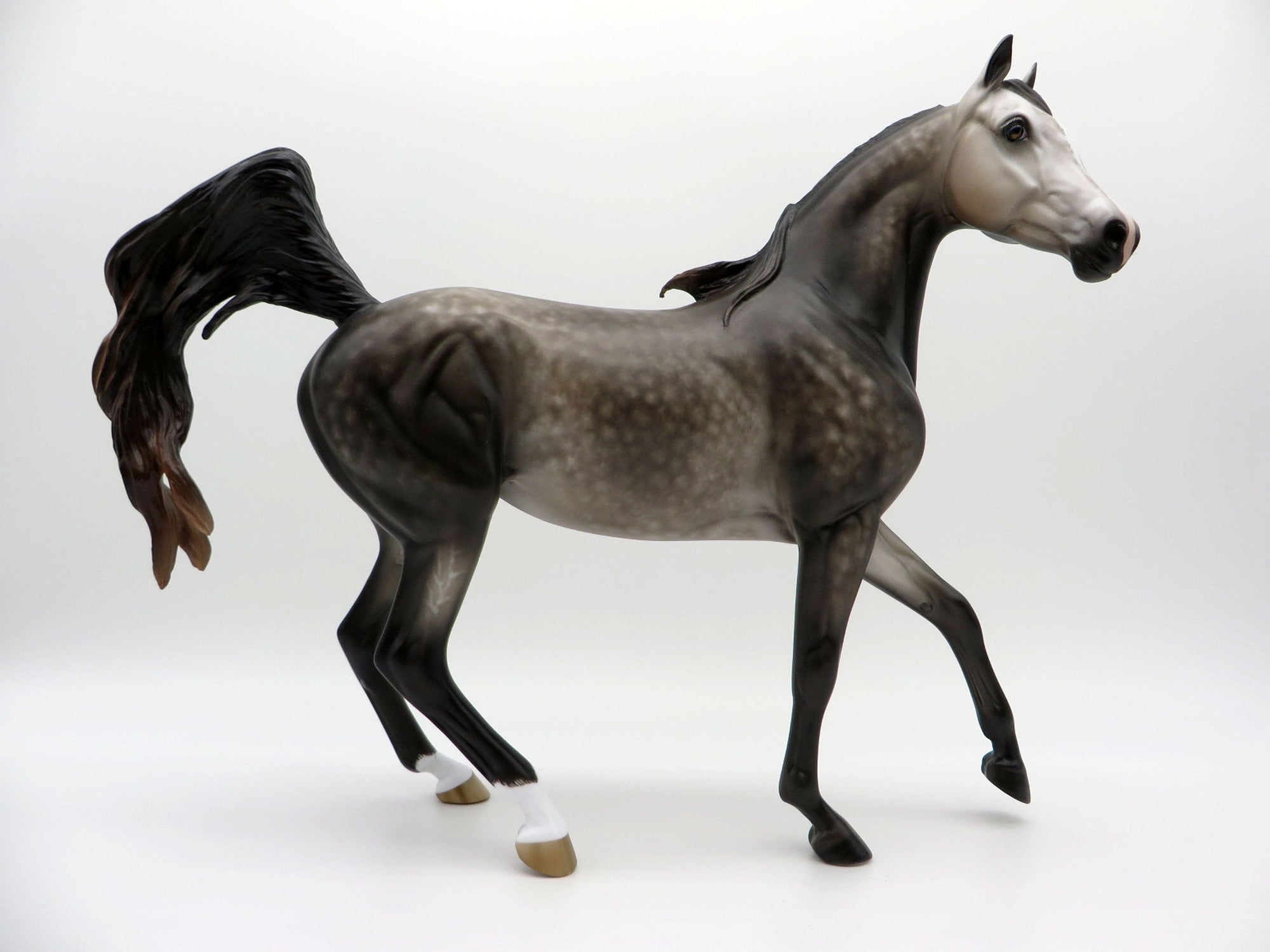 Echo-OOAK Dapple Grey Arabian Mare 3/29/21
