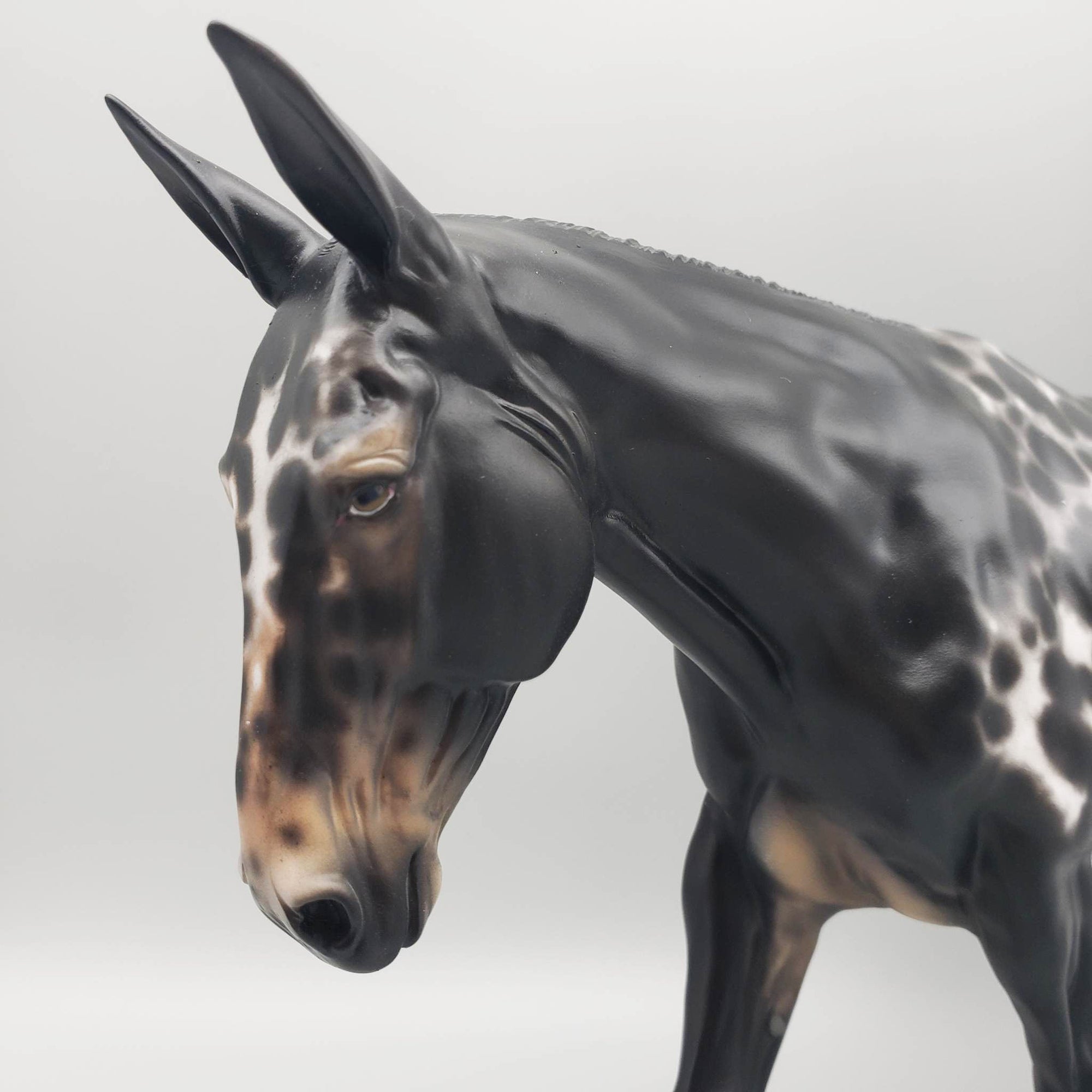 Eileen - OOAK Black Appaloosa Mule By Sheryl Leisure Best Offer 6/5/23