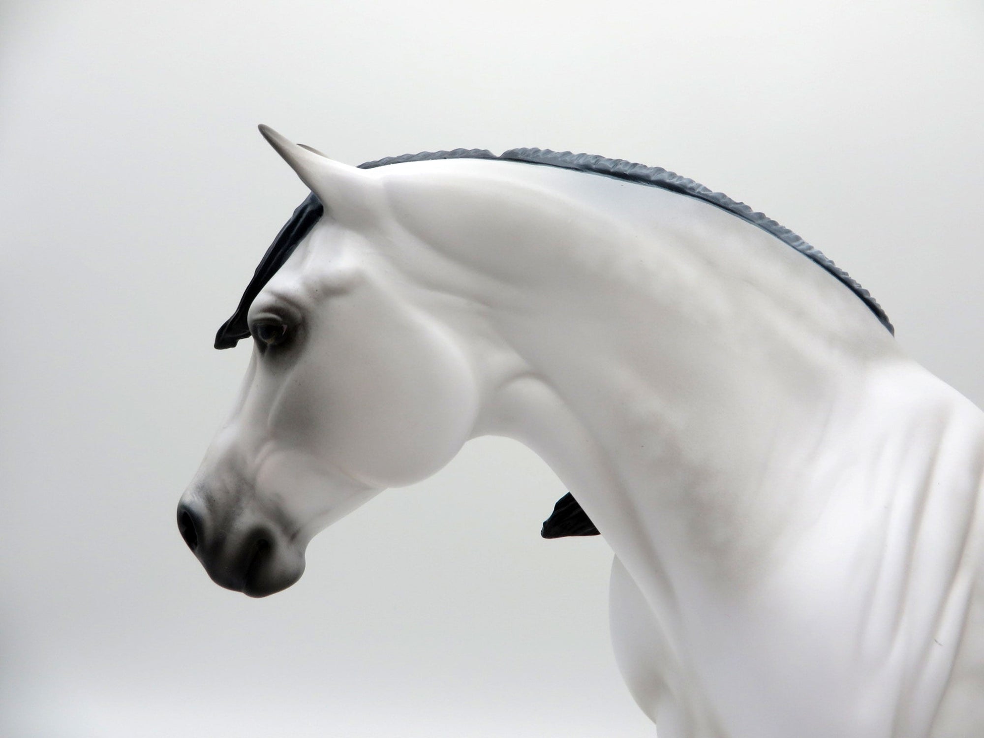 Eira-OOAK Light Star Dapple Grey Heavy Draft Mare SHCF 2021