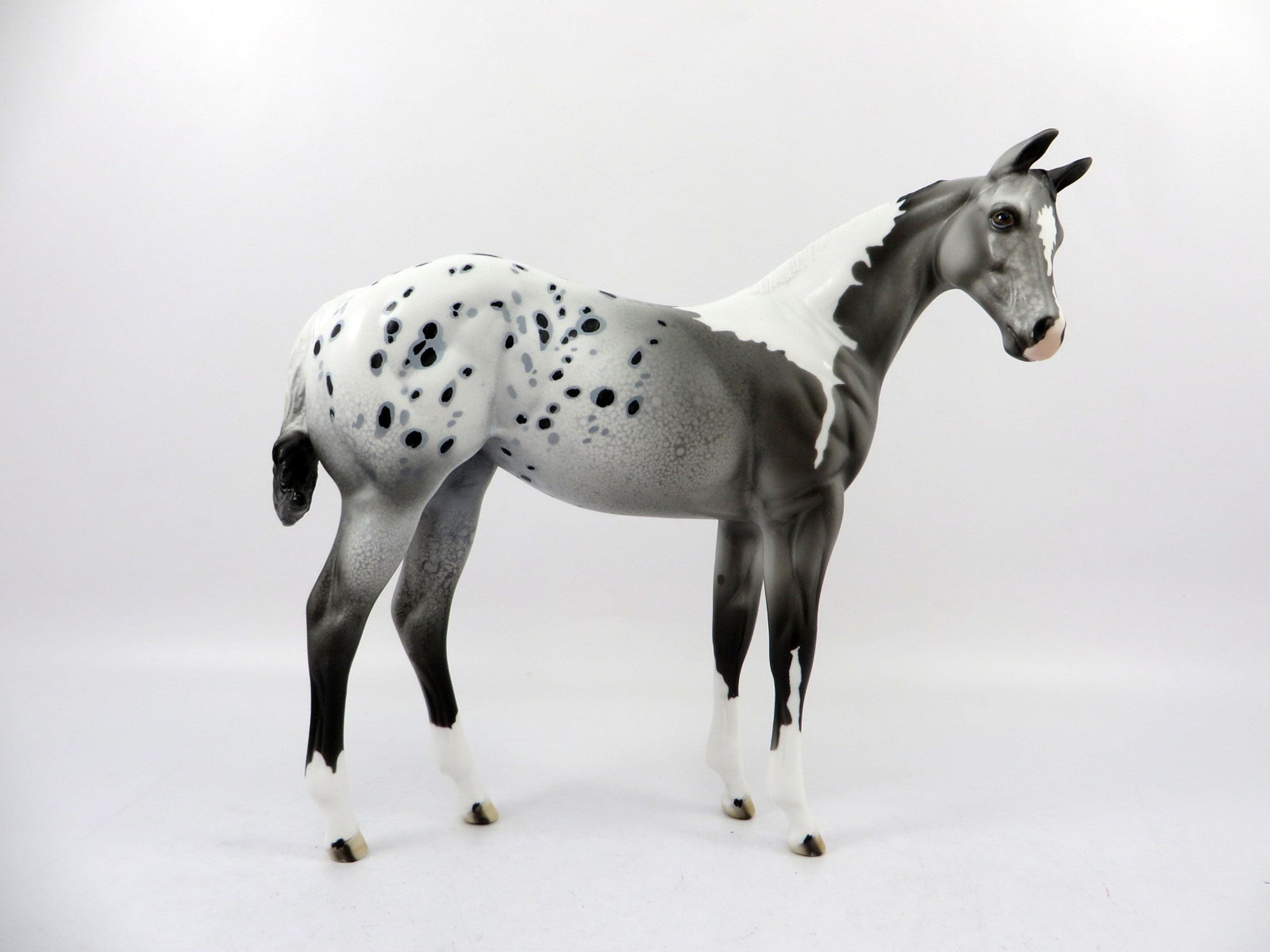 Erie-OOAK Appaloosa Weanling Painted by Dawn Quick 3/5/21