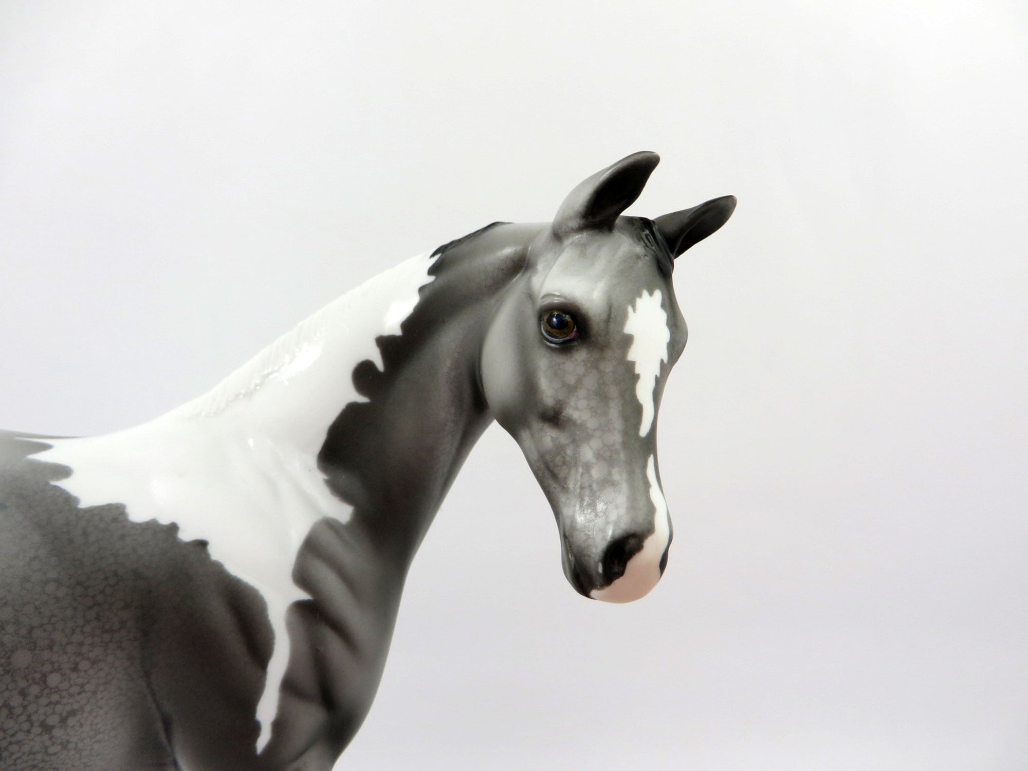 Erie-OOAK Appaloosa Weanling Painted by Dawn Quick 3/5/21