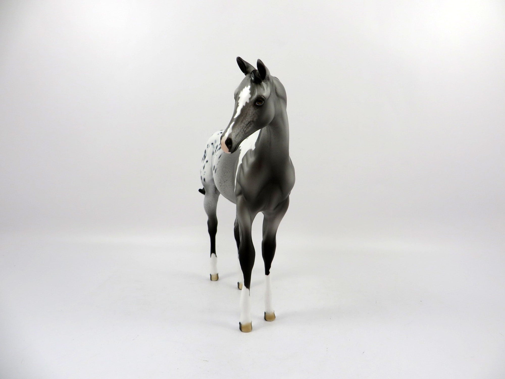 Erie-OOAK Appaloosa Weanling Painted by Dawn Quick 3/5/21