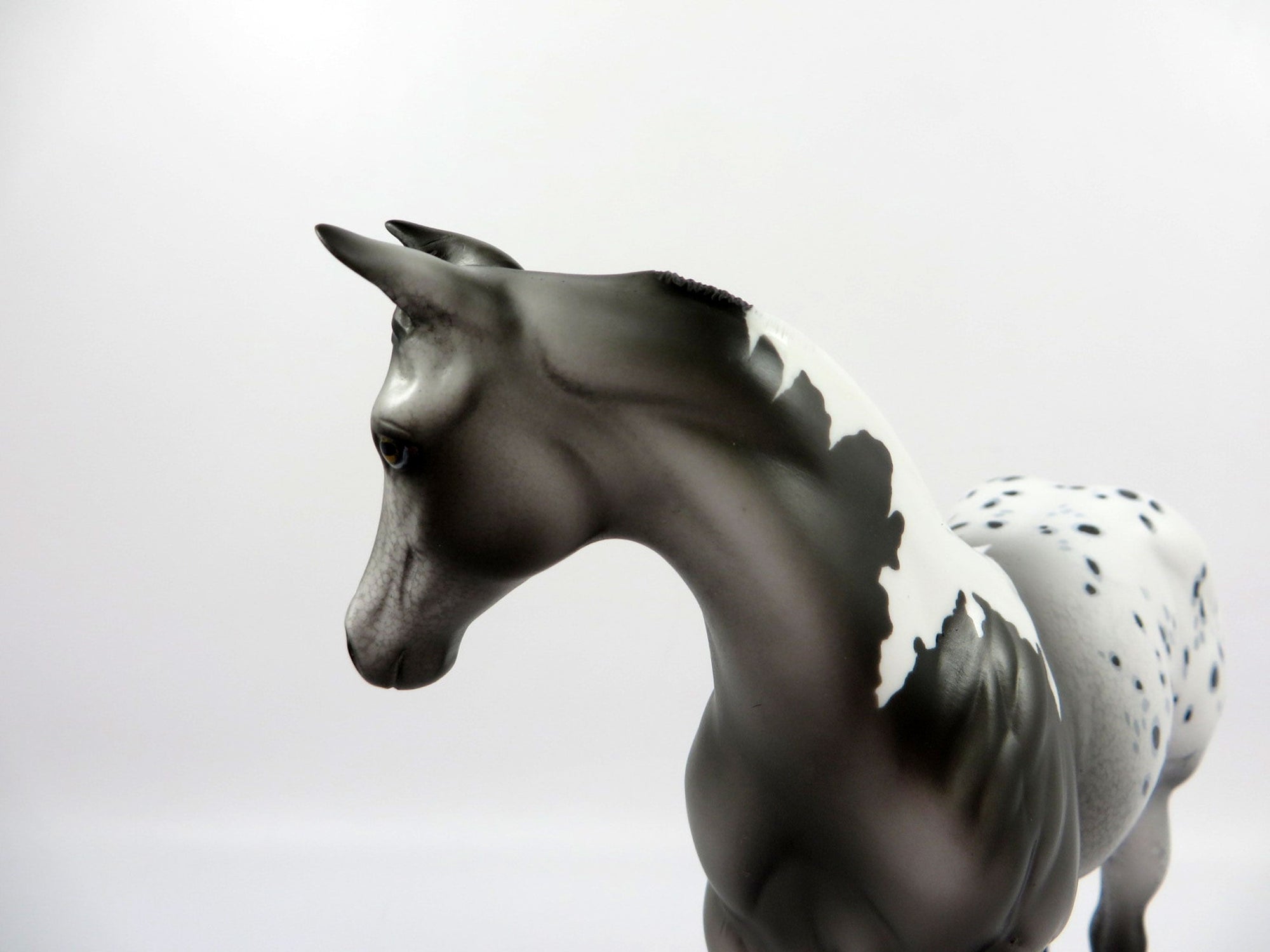 Erie-OOAK Appaloosa Weanling Painted by Dawn Quick 3/5/21