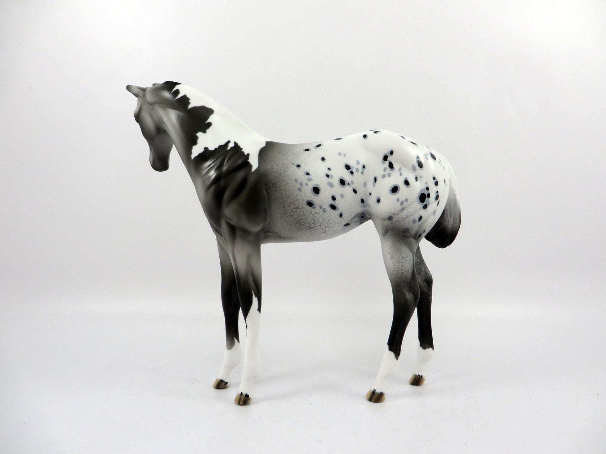 Erie-OOAK Appaloosa Weanling Painted by Dawn Quick 3/5/21