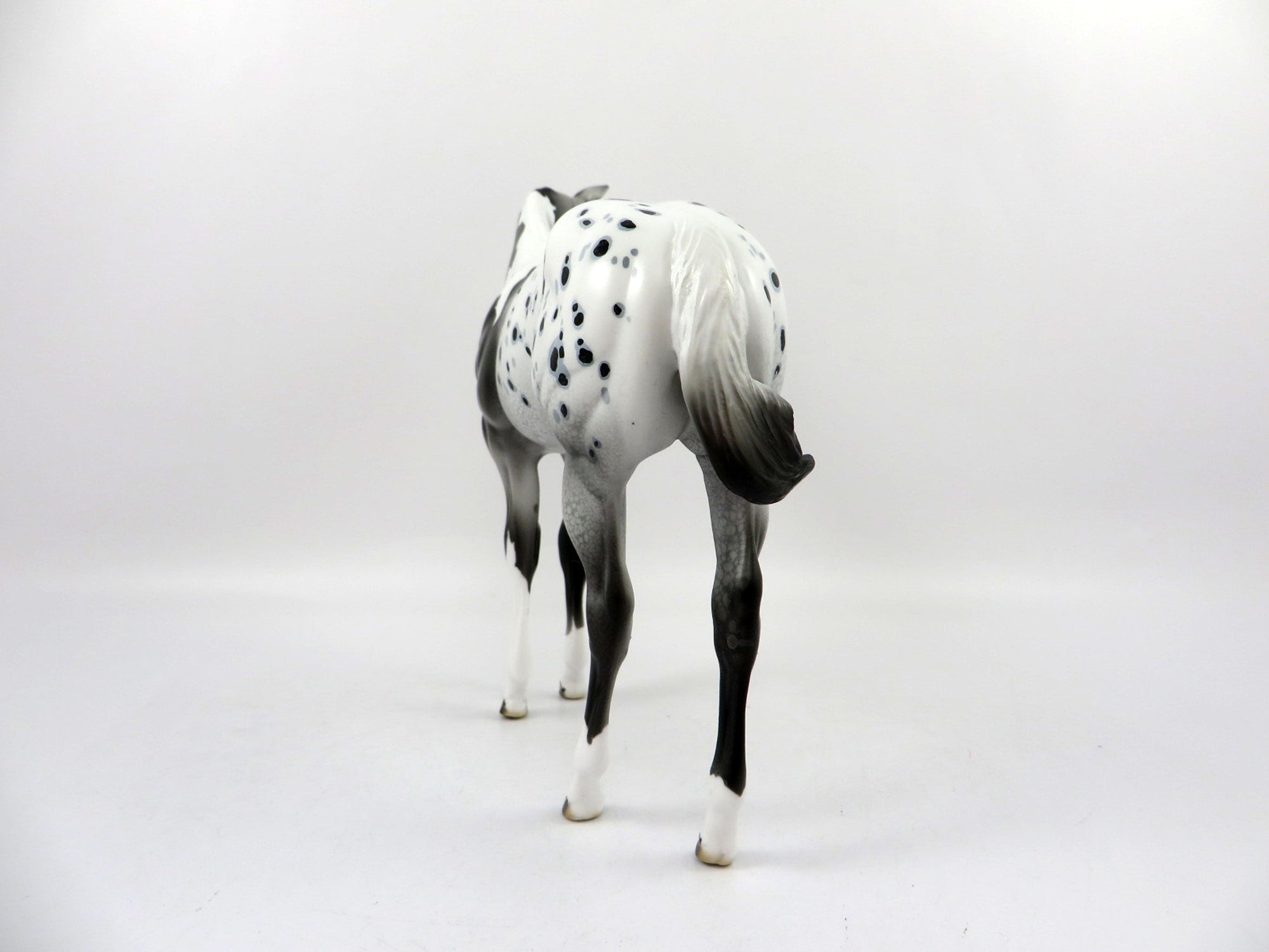 Erie-OOAK Appaloosa Weanling Painted by Dawn Quick 3/5/21