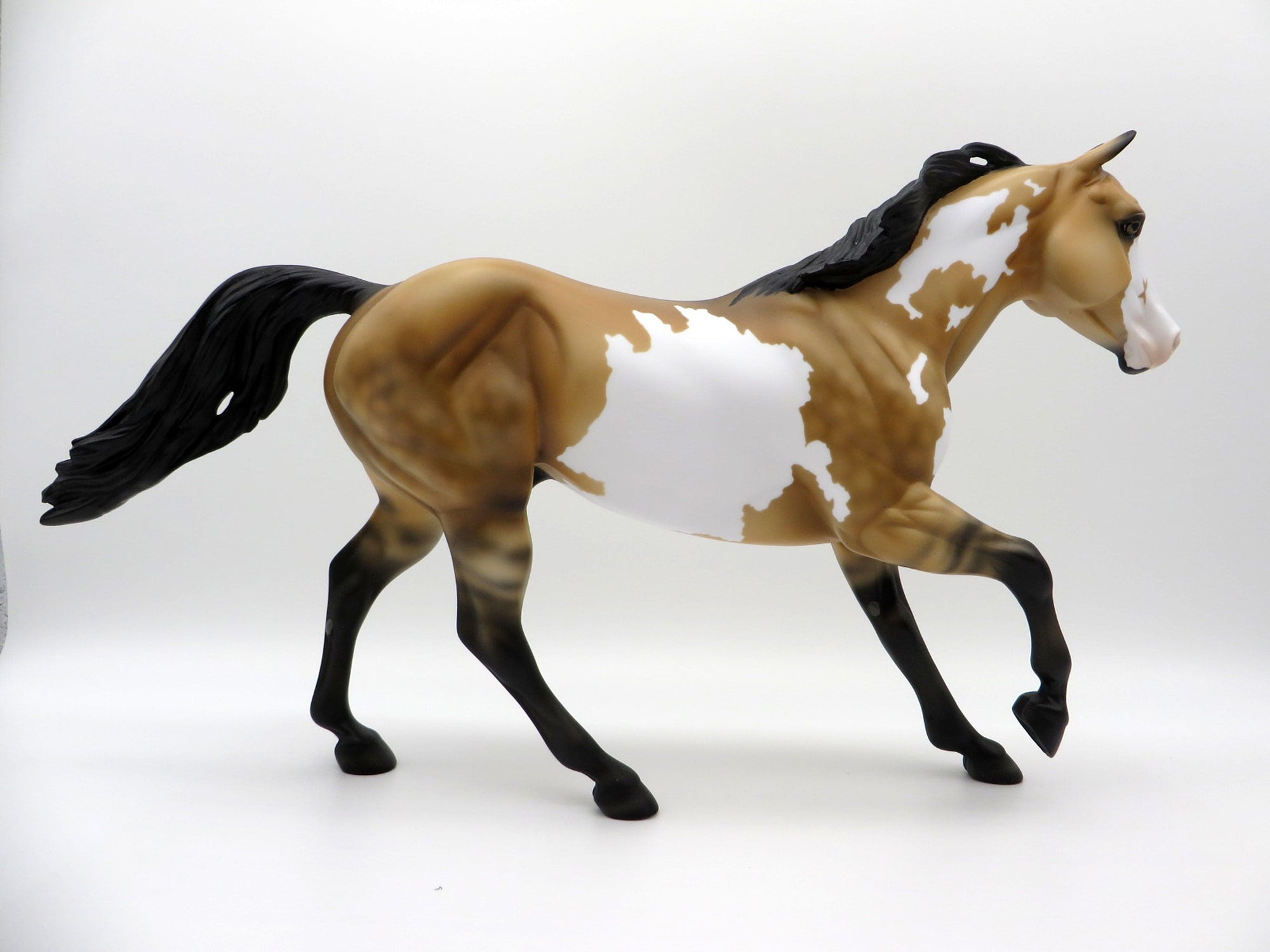 Electric Night-OOAK Buckskin Paint Foundation Quarter Horse SHCF 2021