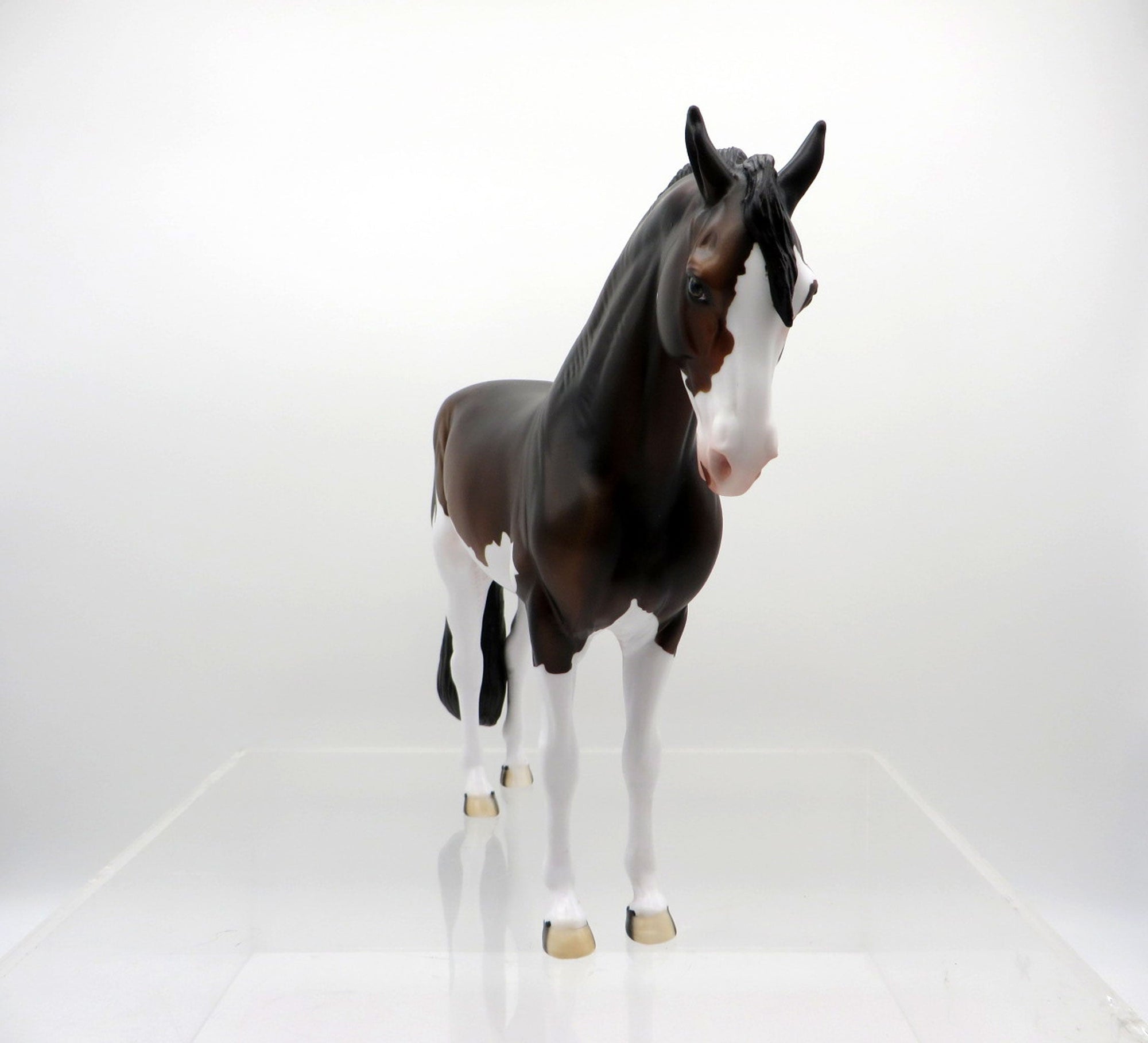 ELIO-OOAK Dapple Bay Paint Andalusian SHCF 2021