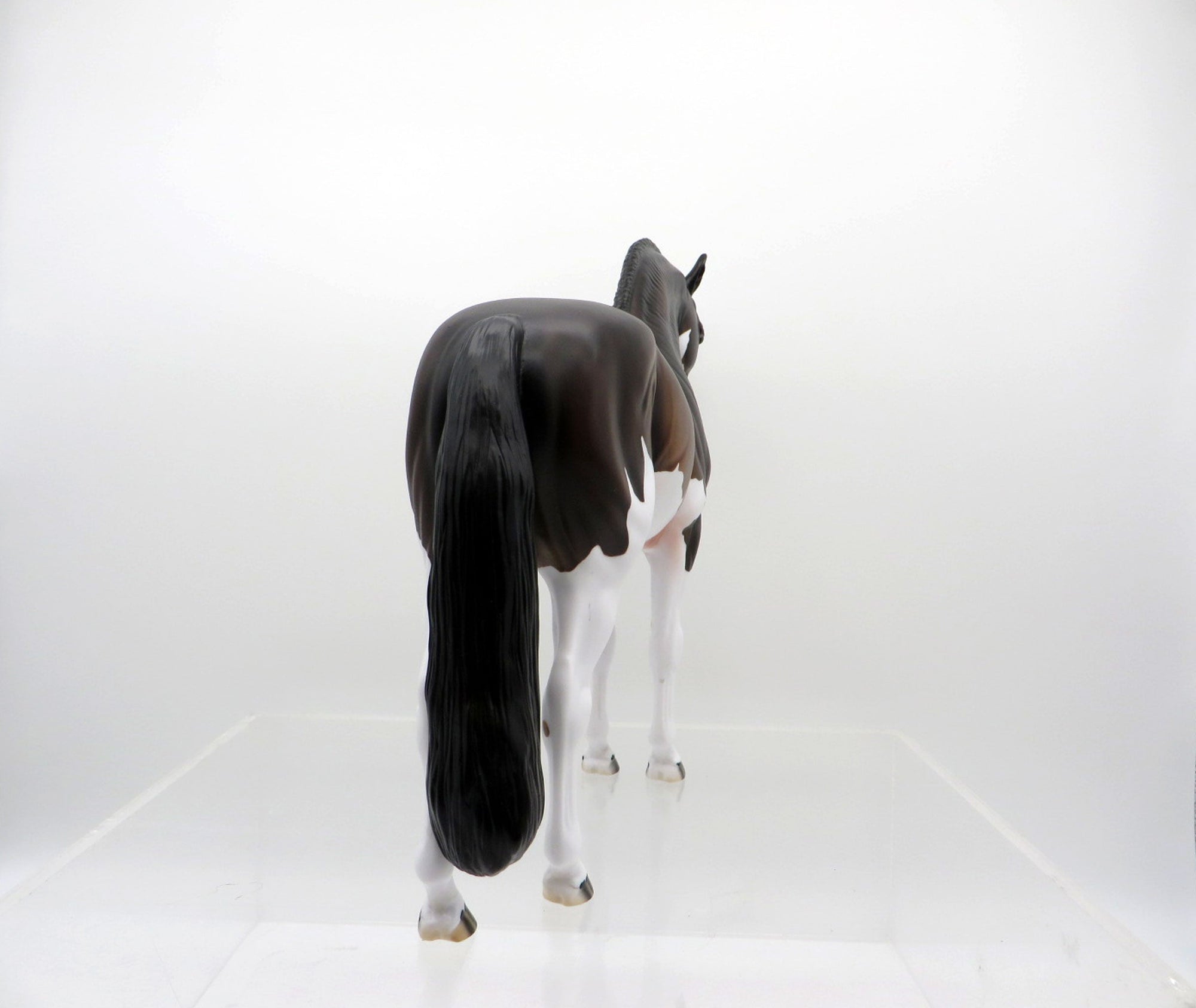 ELIO-OOAK Dapple Bay Paint Andalusian SHCF 2021